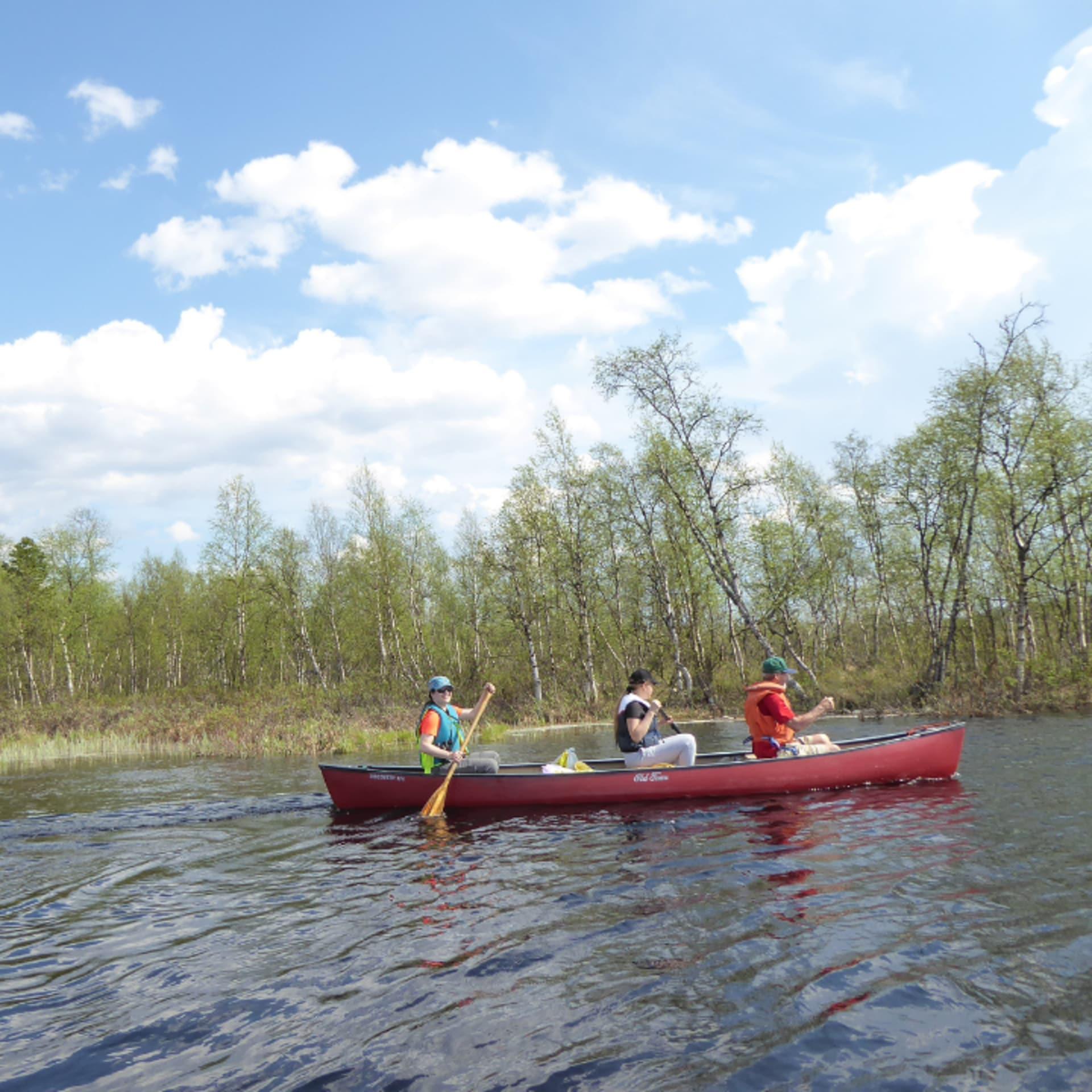 Three people are canoeing on a river in summer.