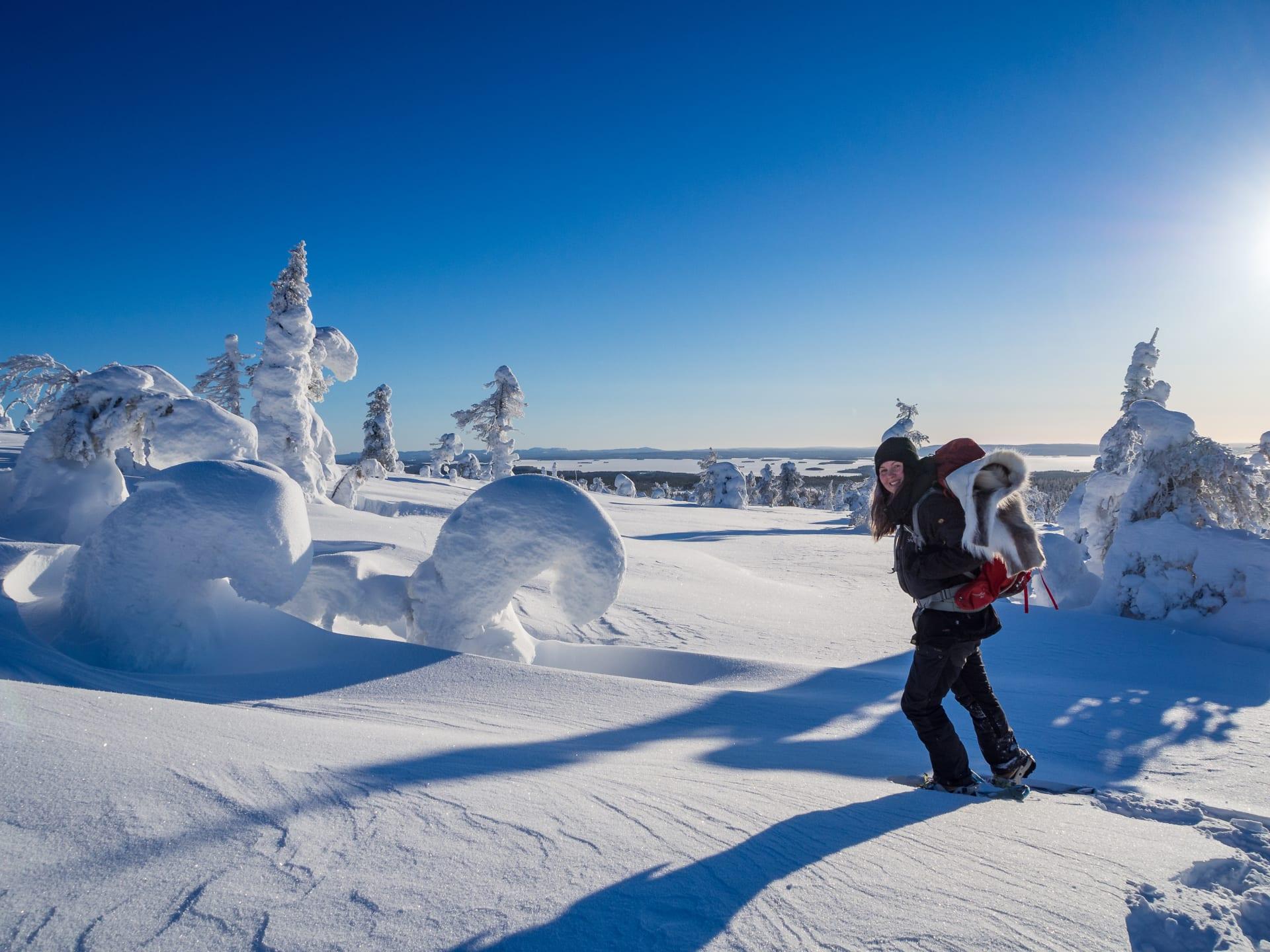 Snowshoeing in Riisitunturi National park