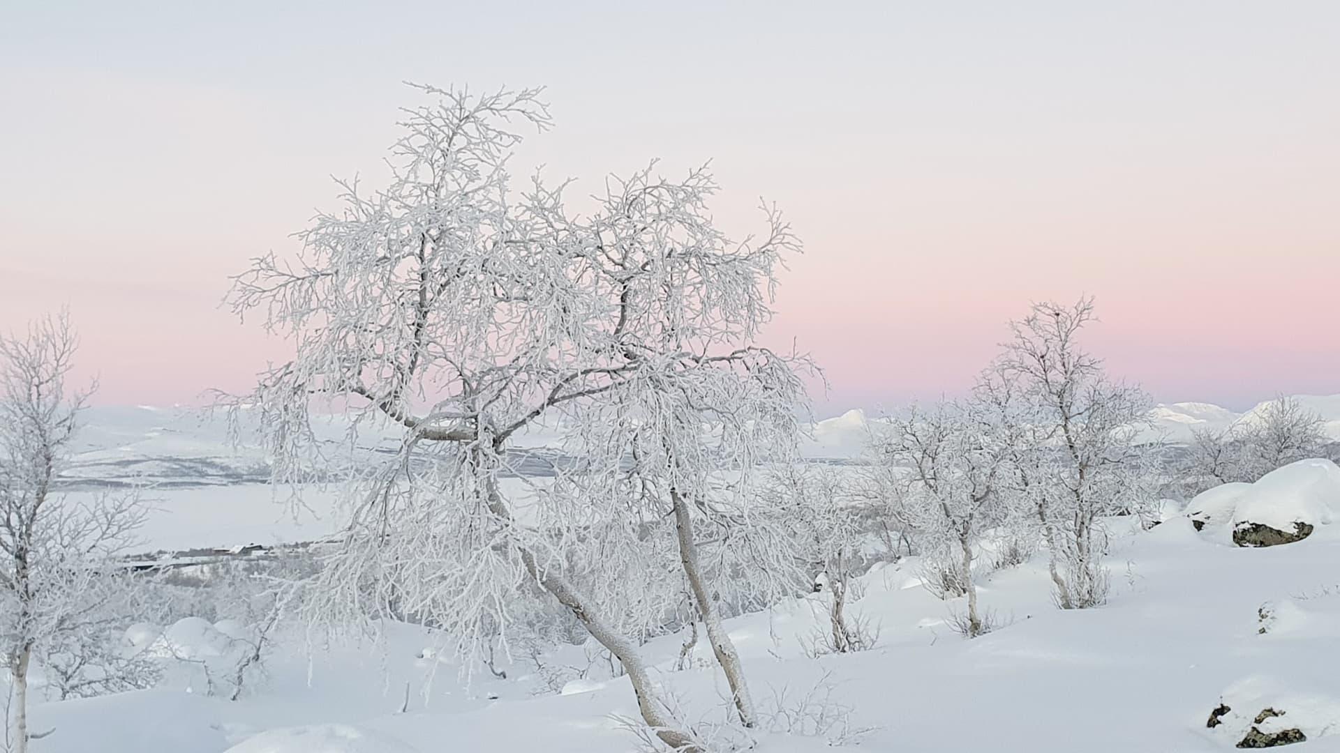 Arctic landscape in mid-winter during the village tour