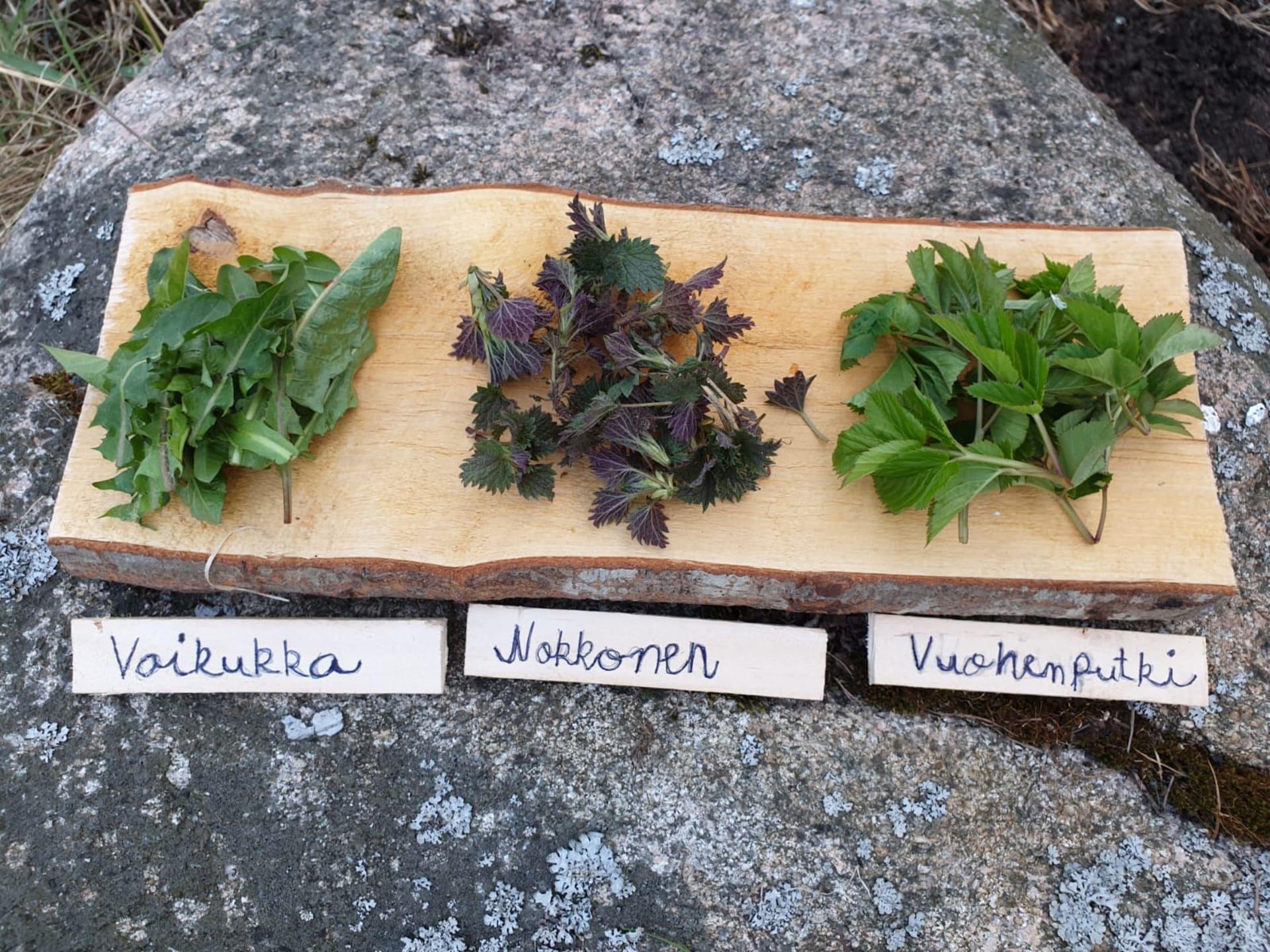 wildherbs