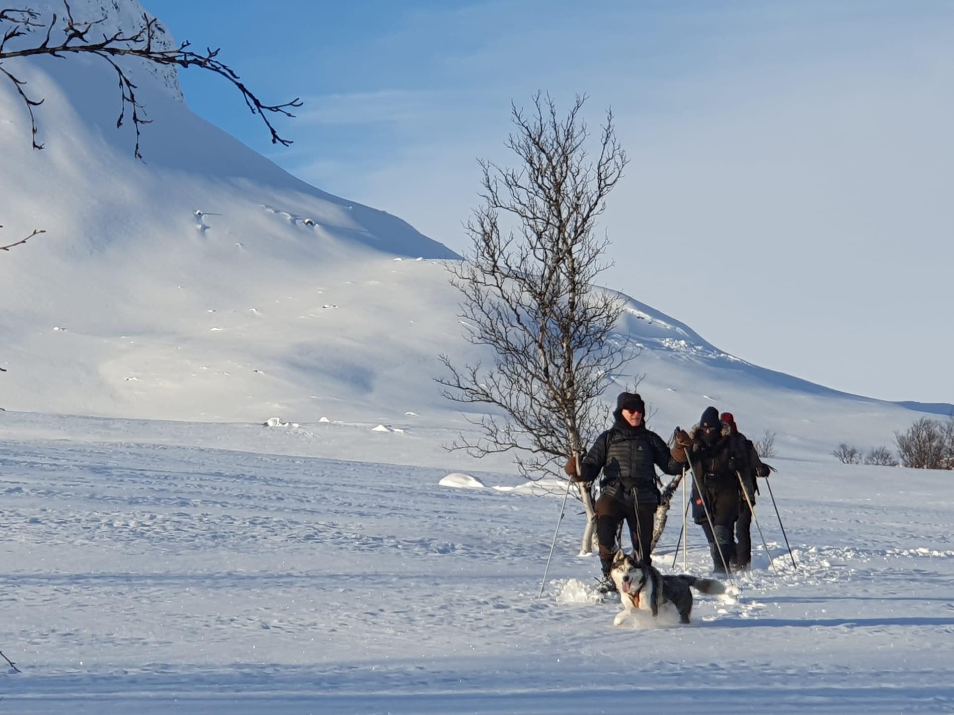 Snowshoe trekking at the foot of Mt. Saana