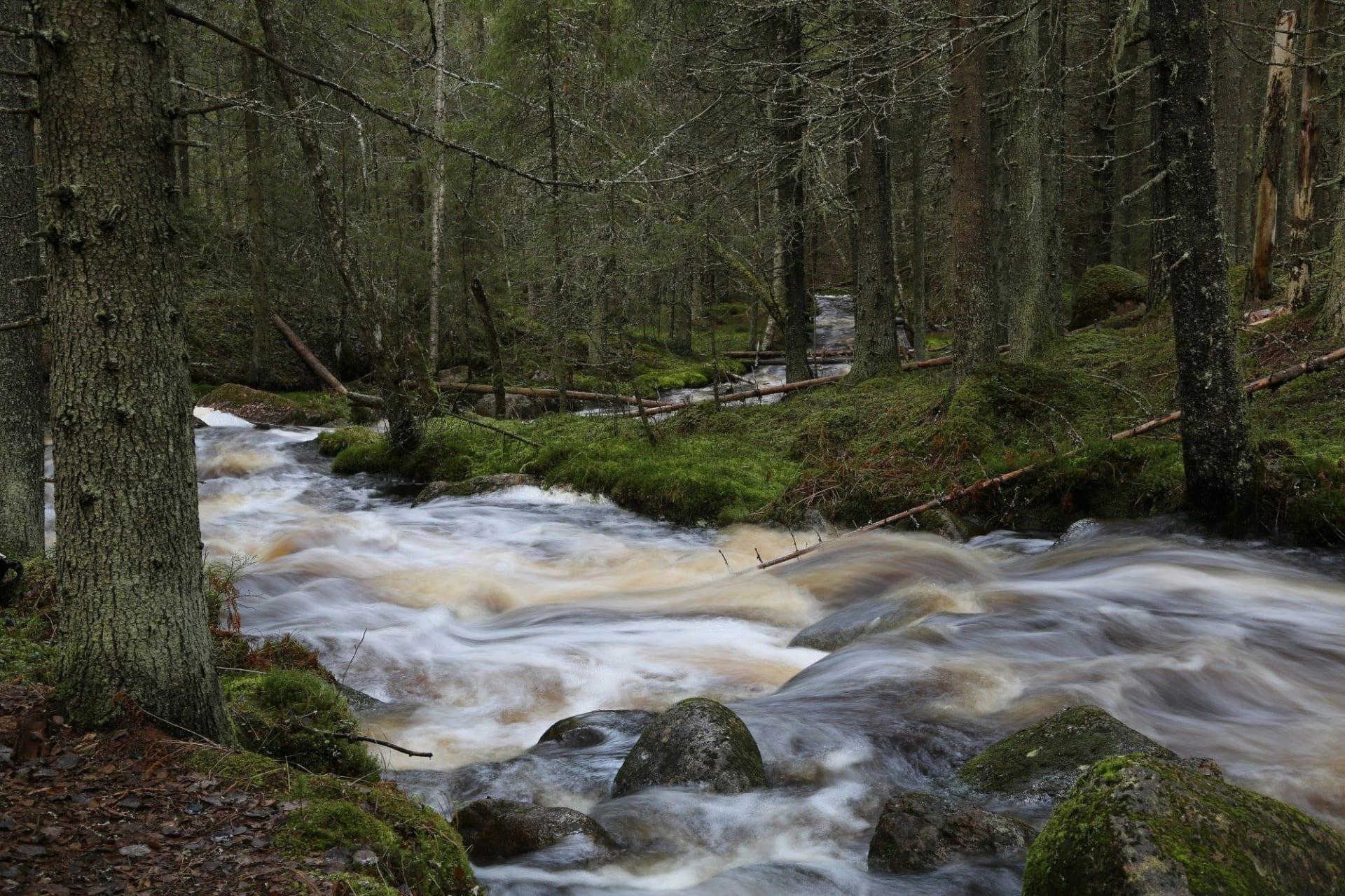 Rapids in the Katikankanjon.