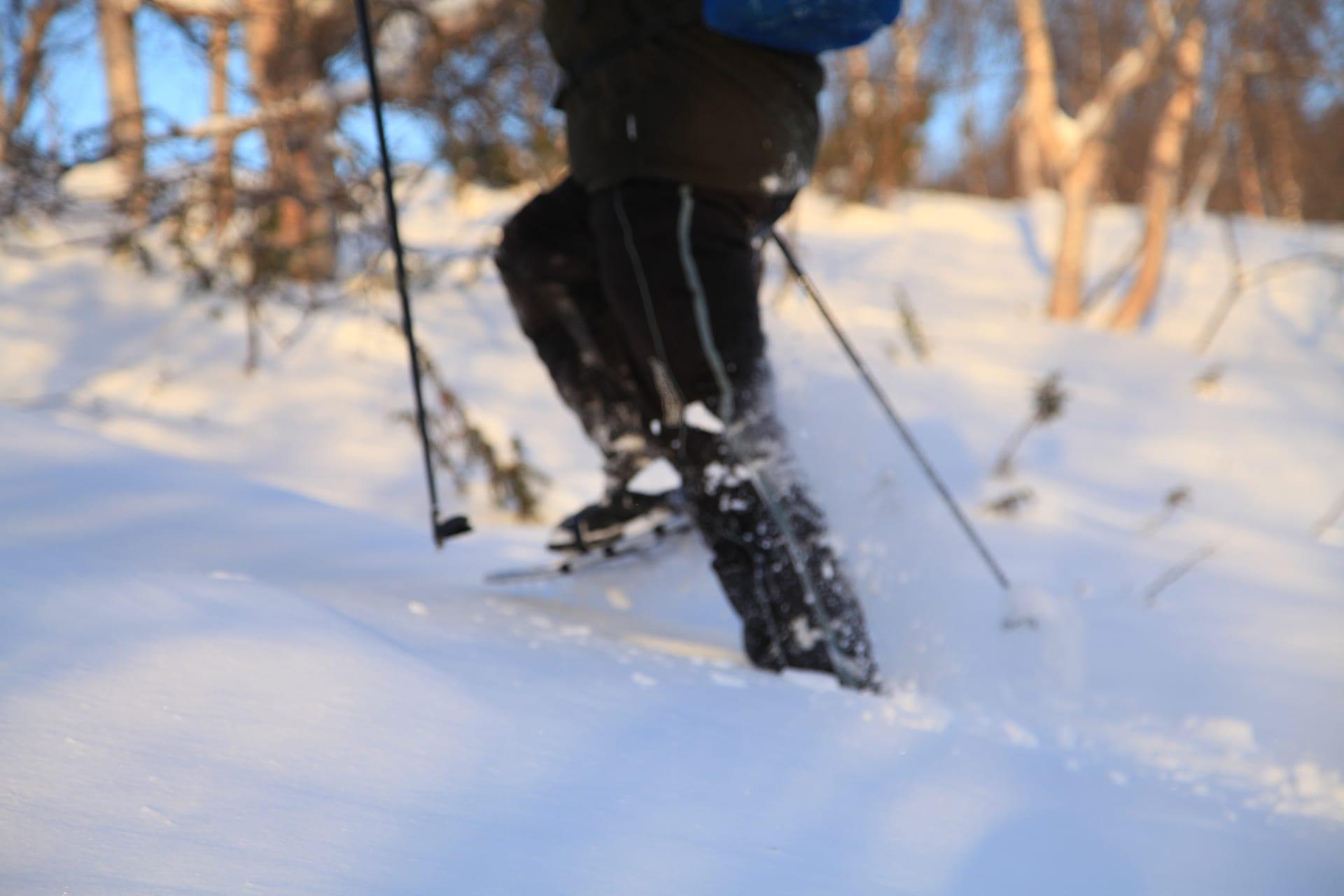 Snowshoeing is a fun way to get acquainted with Lapland's nature