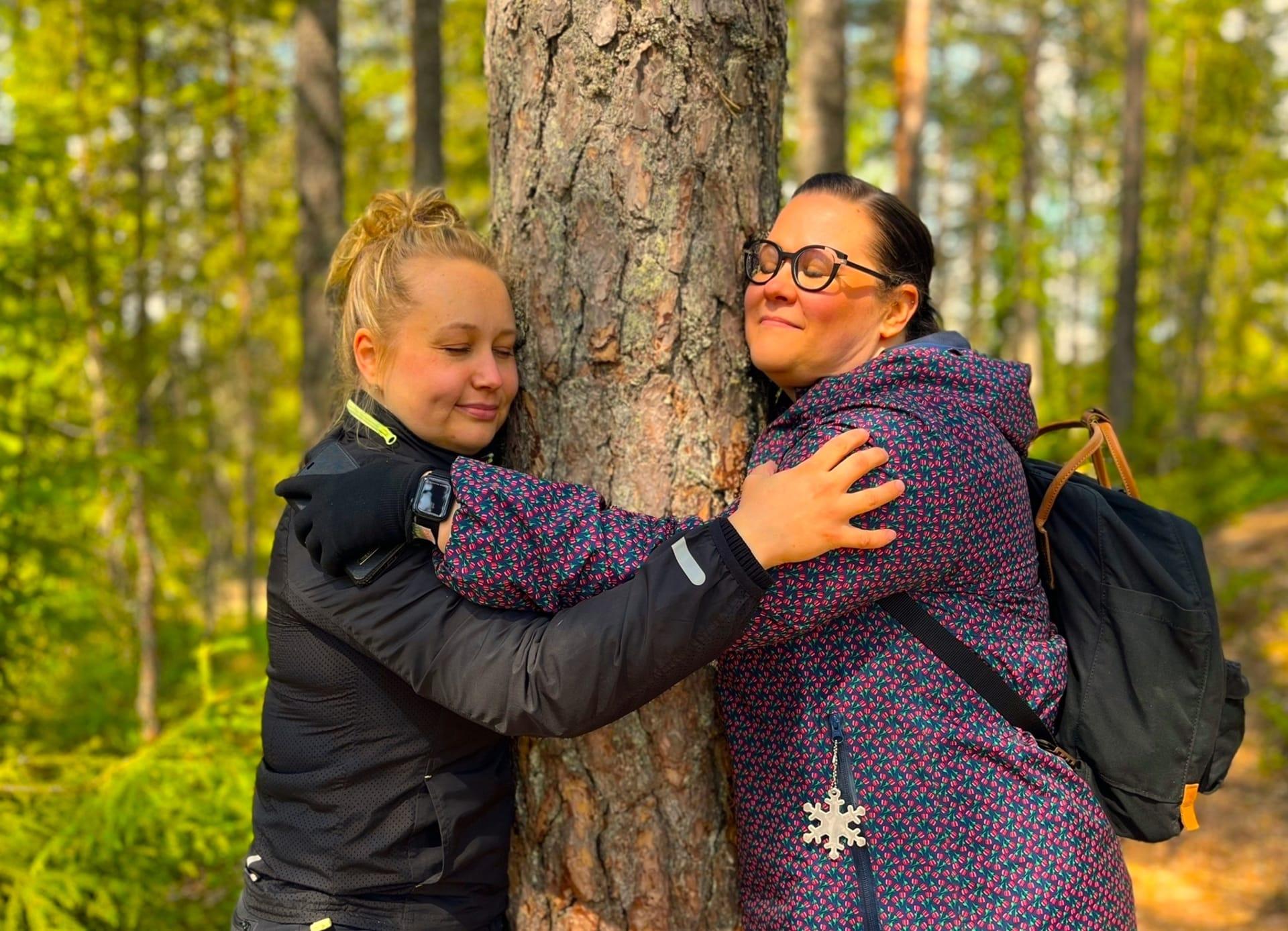 mindfulness forest therapy metsämieli