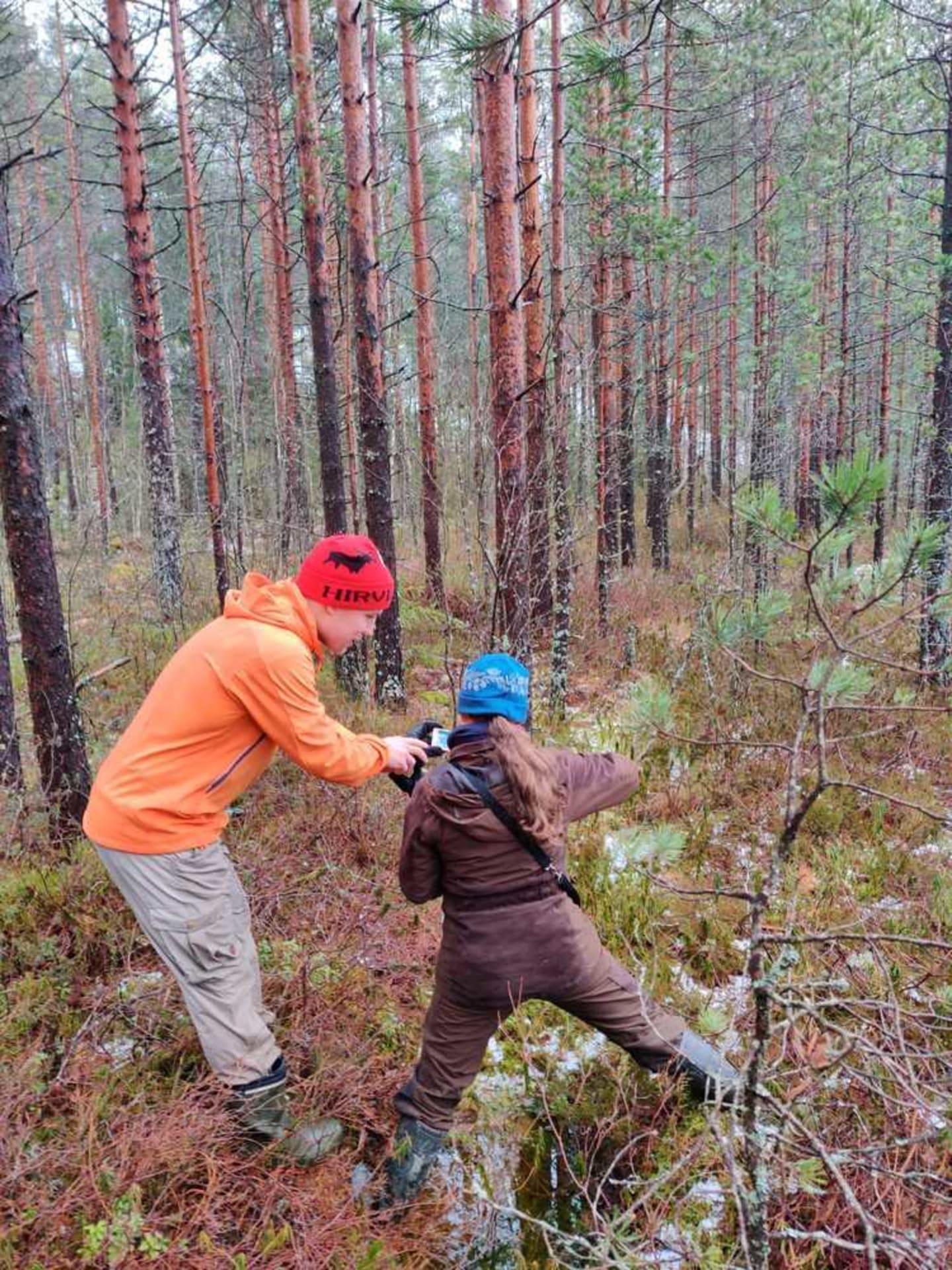 Haukansuo bog