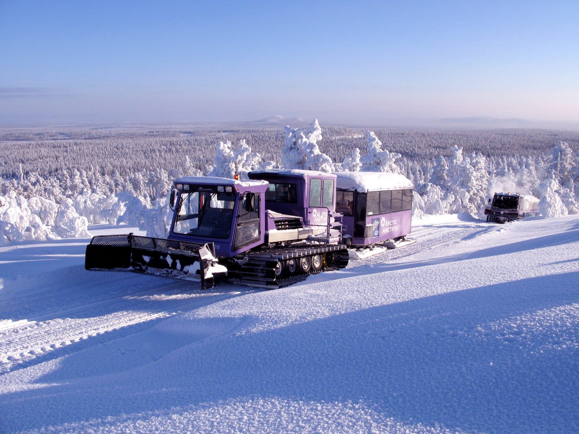 Amethyst Pendolino