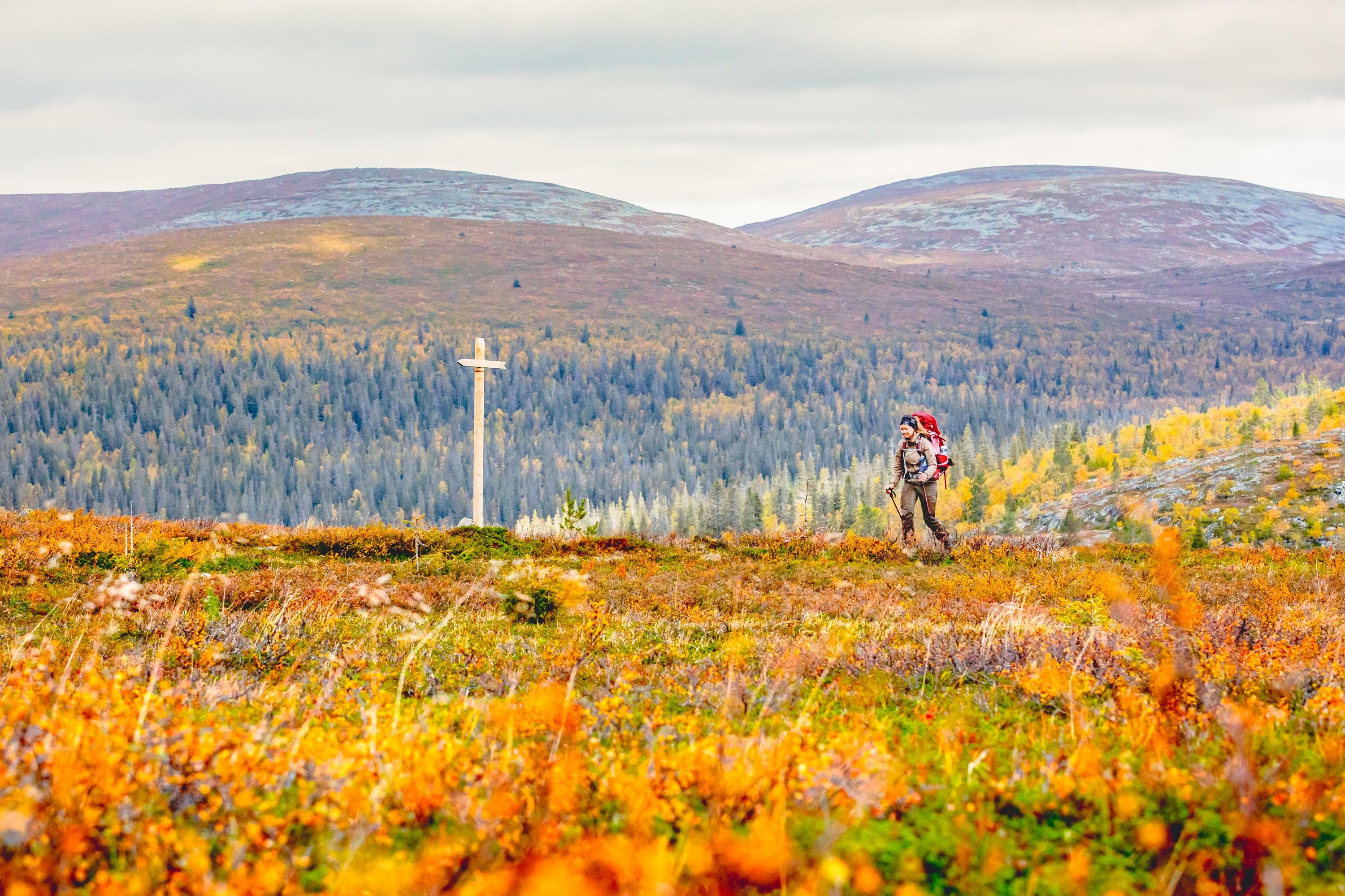 Image: Rami Valonen / Metsähallitus Ruskan värjäämät lehdet. Polulla kulkee yksi vaeltaja. Taustalla tunturimasemaa.
