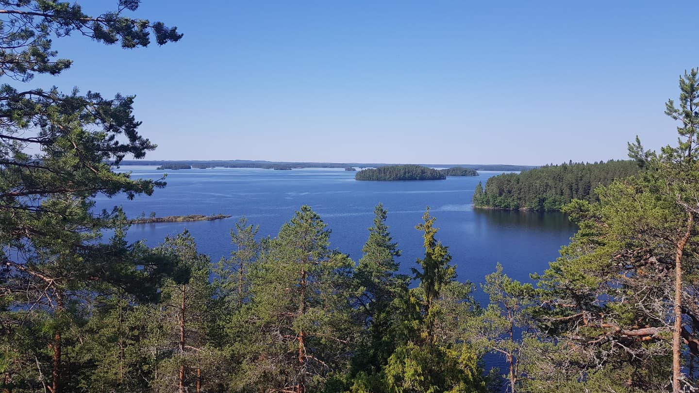 Image: Minna Auttila Summer lake landscape.