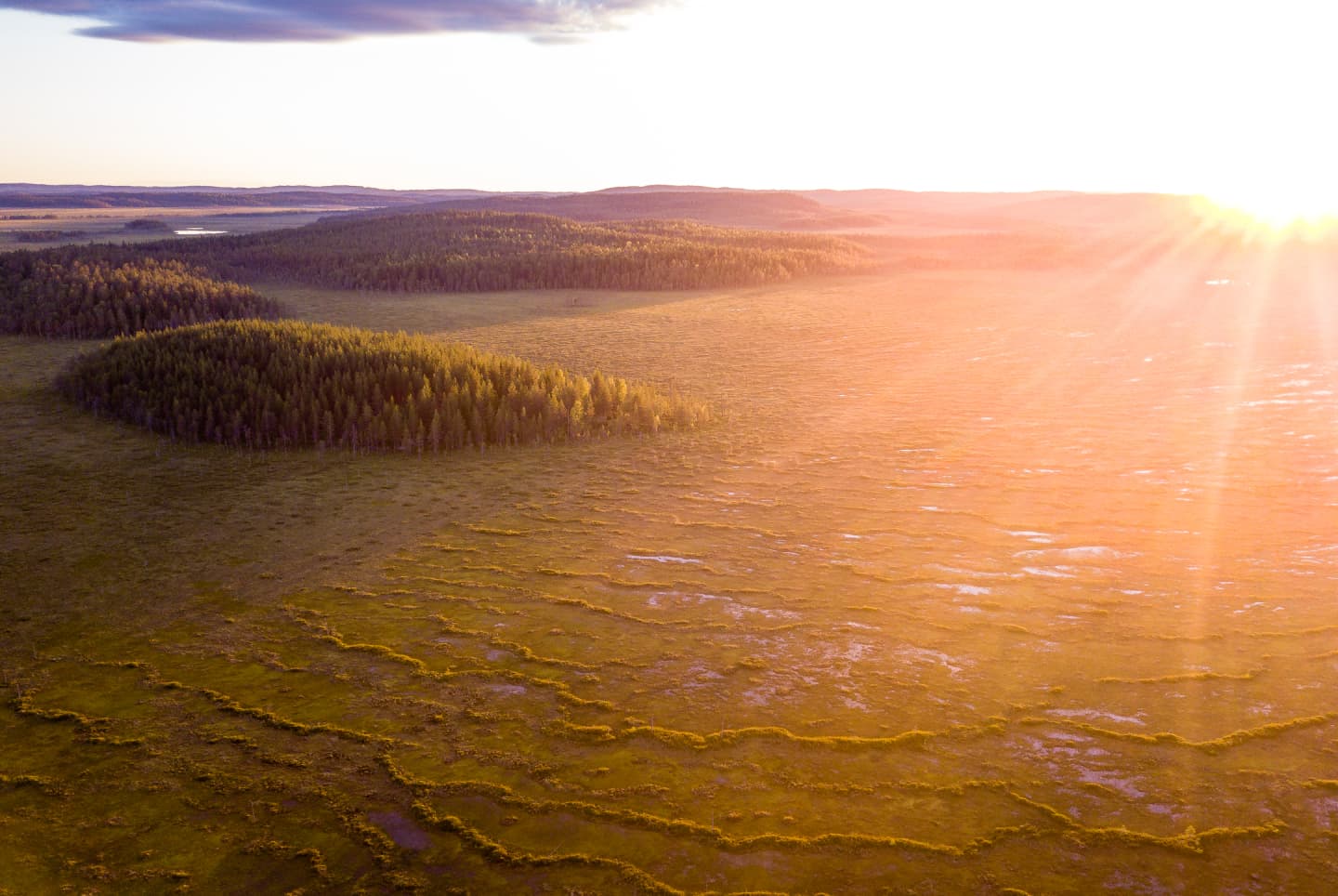 Bild: Mitja Piipponen På flygfotot öppna myrar och skogsholmar.
