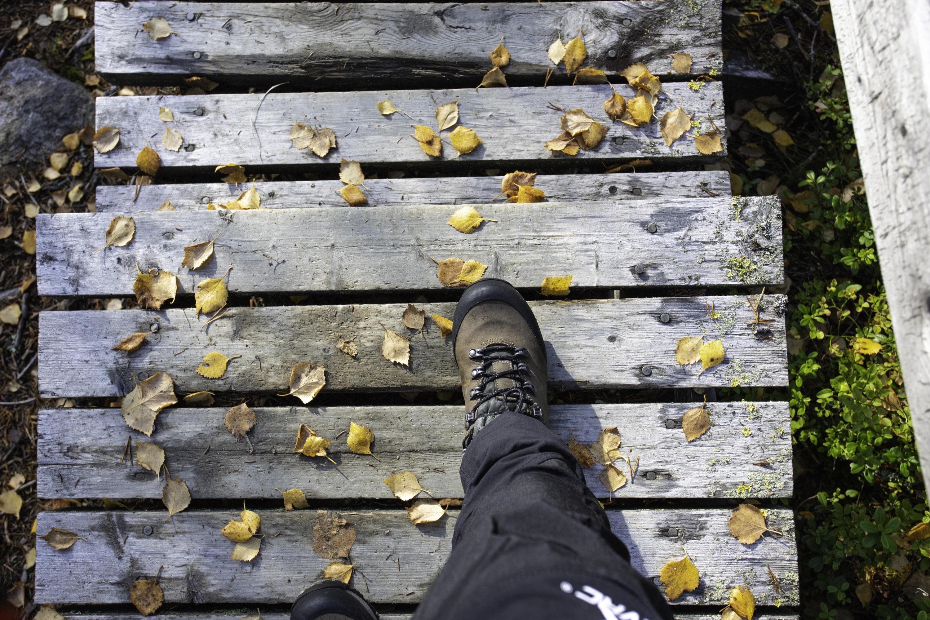 Image: Minna Koramo With vertical planks, right leg visible with hiking boot and trouser leg. The planks are covered with fallen leaves.