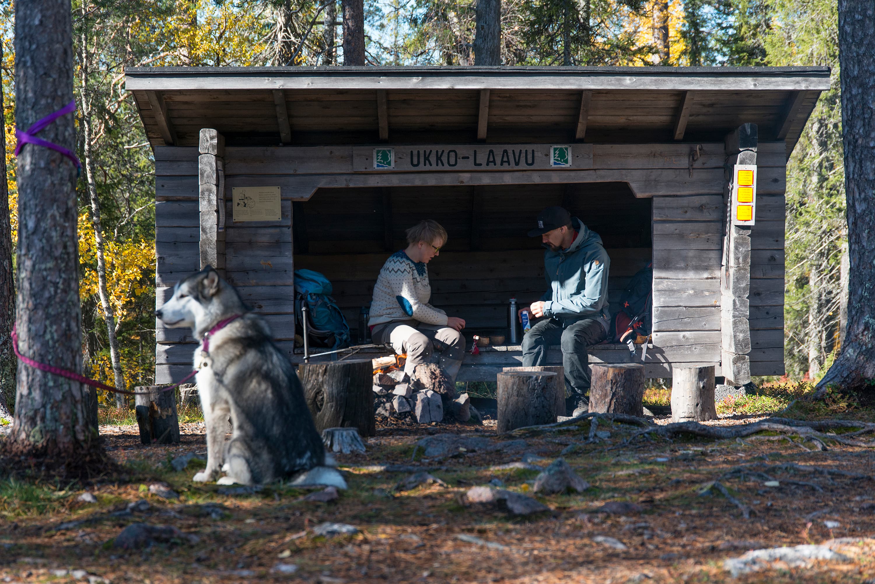 Bild: Teemu Kuisma Vandrare och en hund vid Ukko-Laavu.