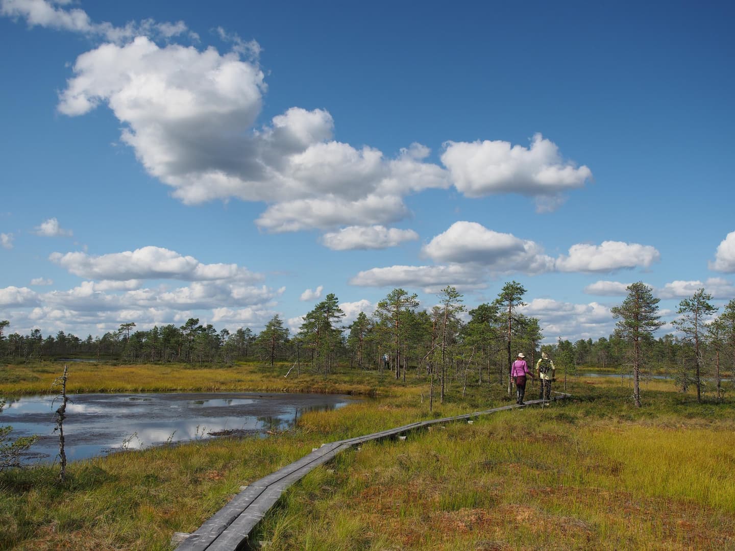 Image: Pasi Talvitie A marsh landscape with a pond. In the background, a forest and two hikers walking on a boardwalk.