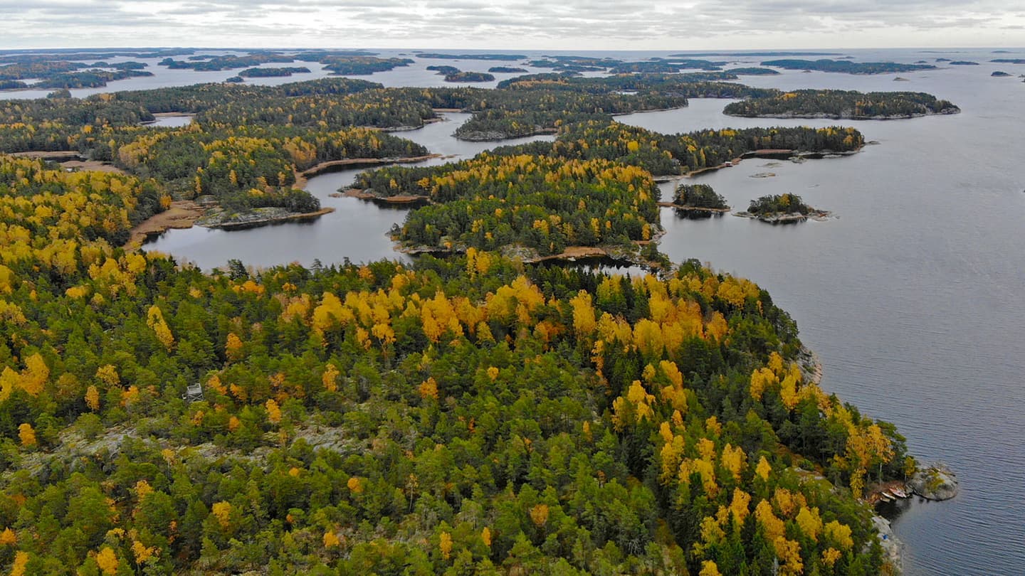 Kuva: Hans-Erik Nyman Iso metsäinen saari jossa joitakin keltaisia puita.