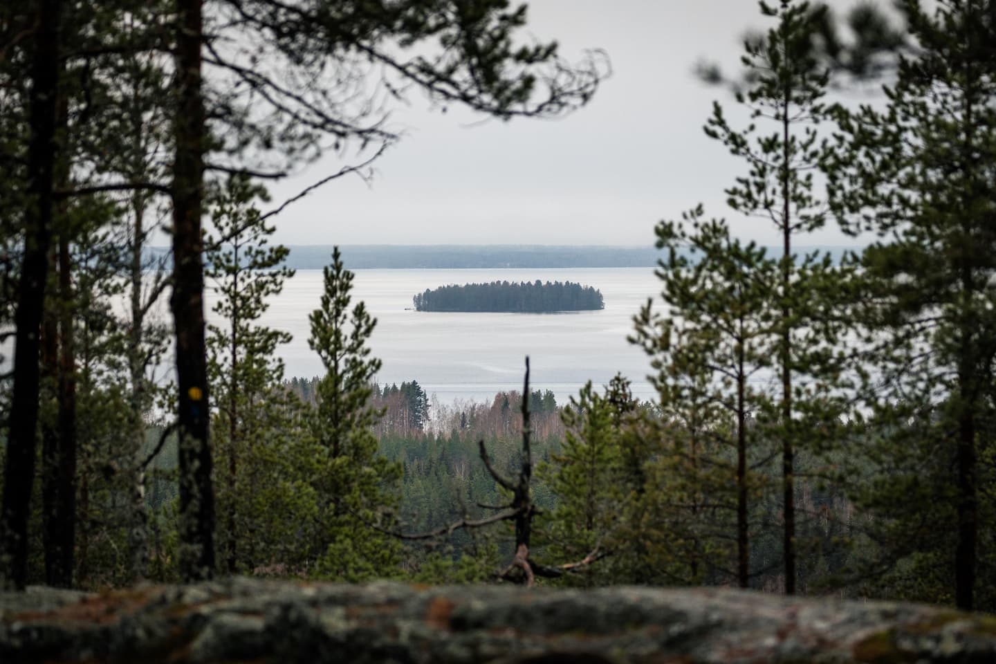Kuva: Kraatterijärvi Geopark Kesäinen maisema korkealta mäeltä järvelle.