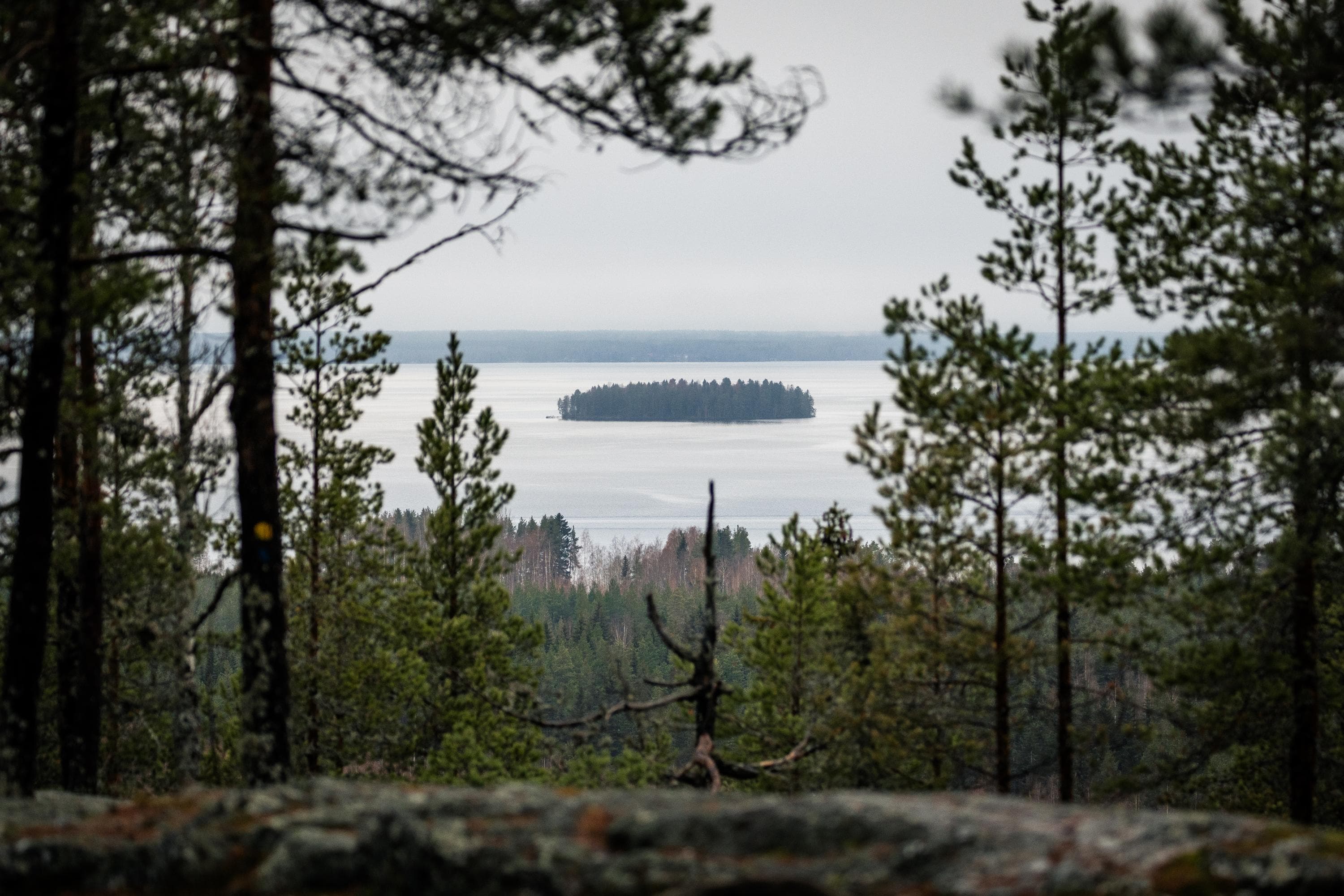 Kuva: Kraatterijärvi Geopark Kesäinen maisema korkealta mäeltä järvelle.