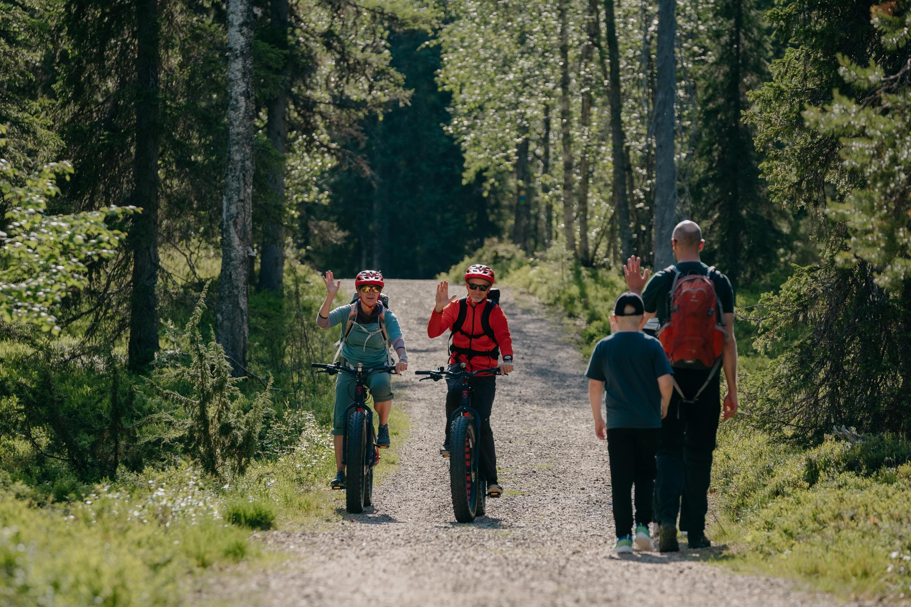 Image: Jaakko Posti Mountain bikers encounter walkers on a trail, greeting each other.