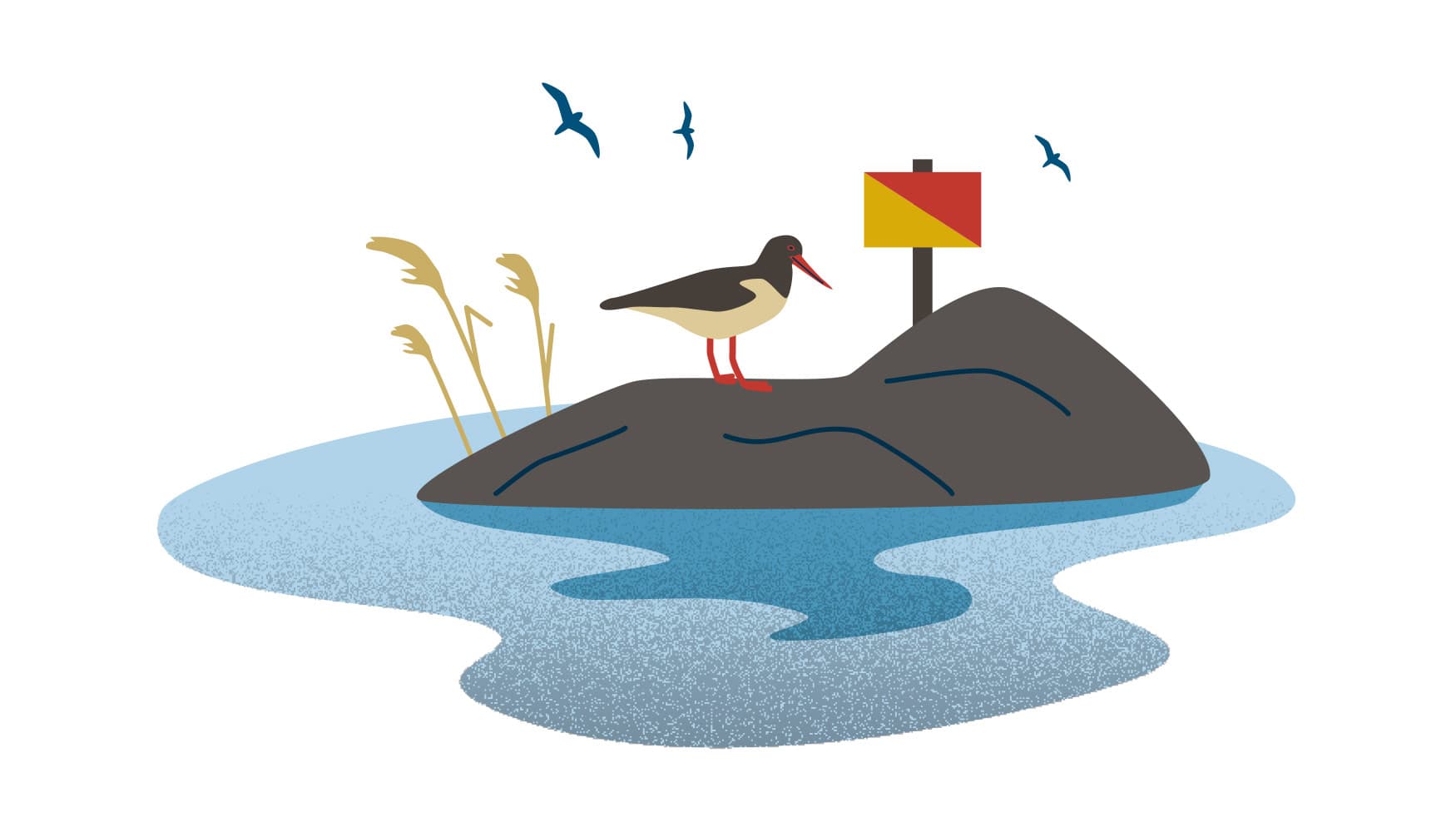 Kuva: Anna Pakkanen Lintu on luodolla, jossa on maihinnousun kieltomerkki