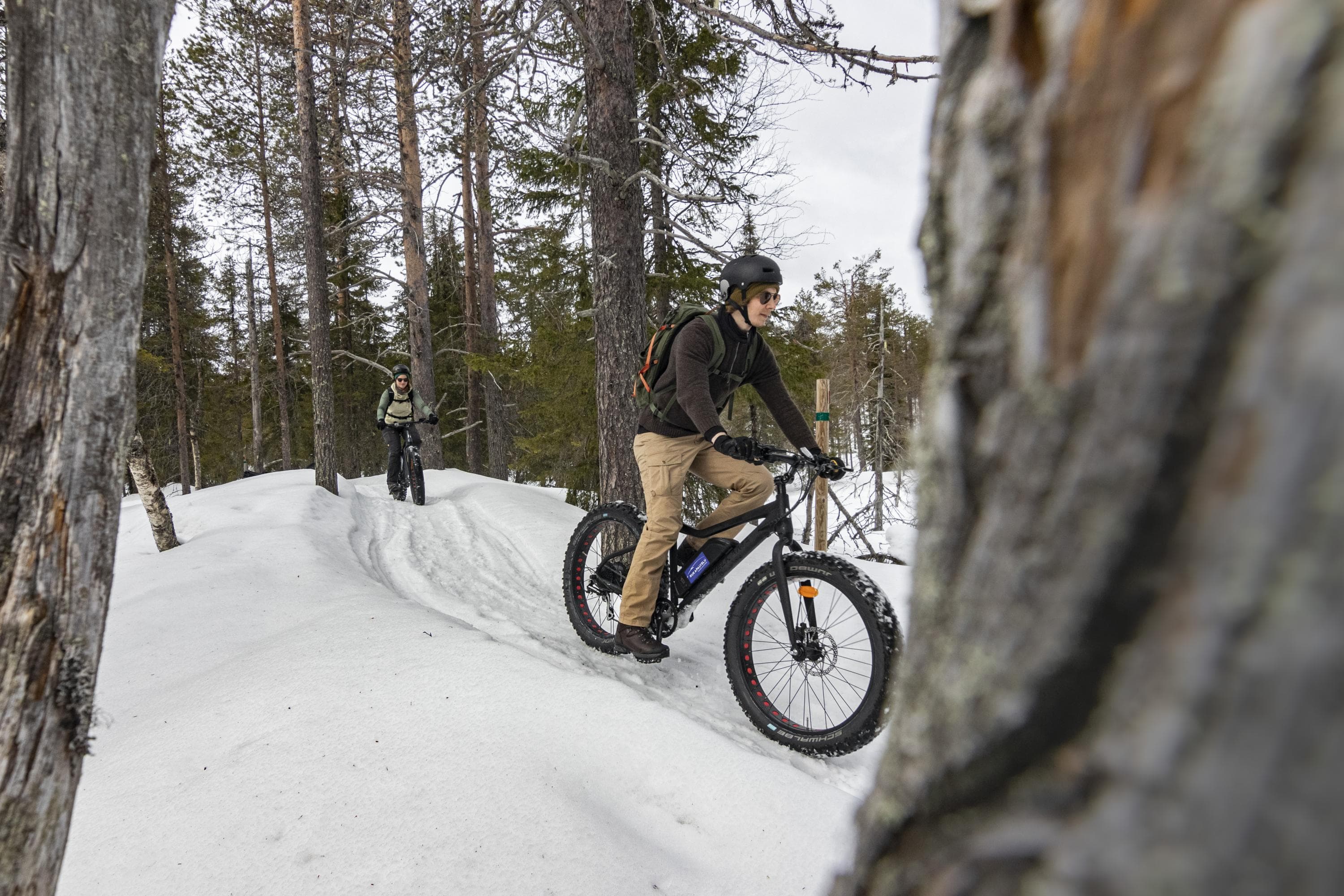 Pyöräilijät ajavat fatbikeilla pitkin lumista reittiä talvisessa metsässä.