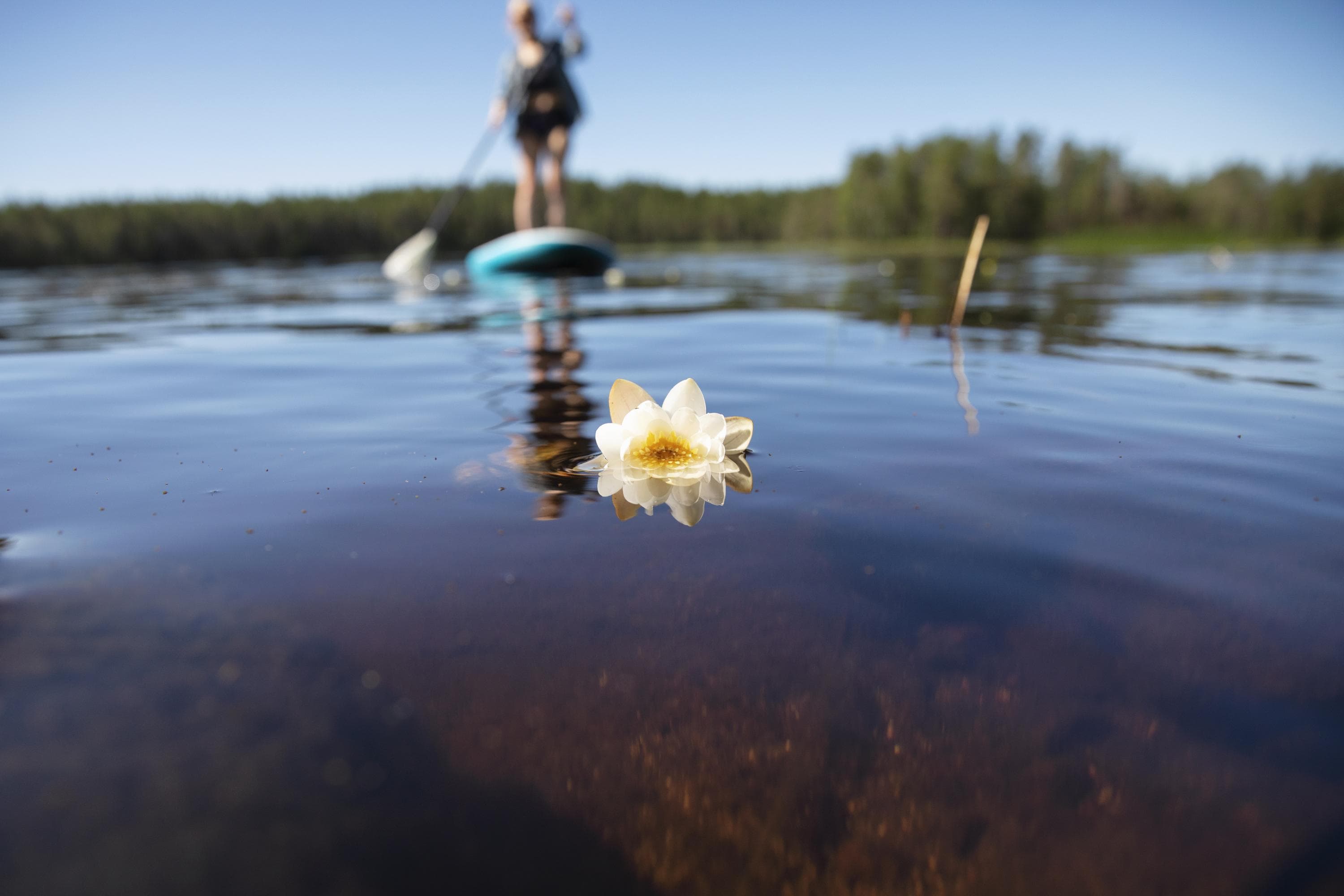 Suppailija kesäpäivänä järvellä.