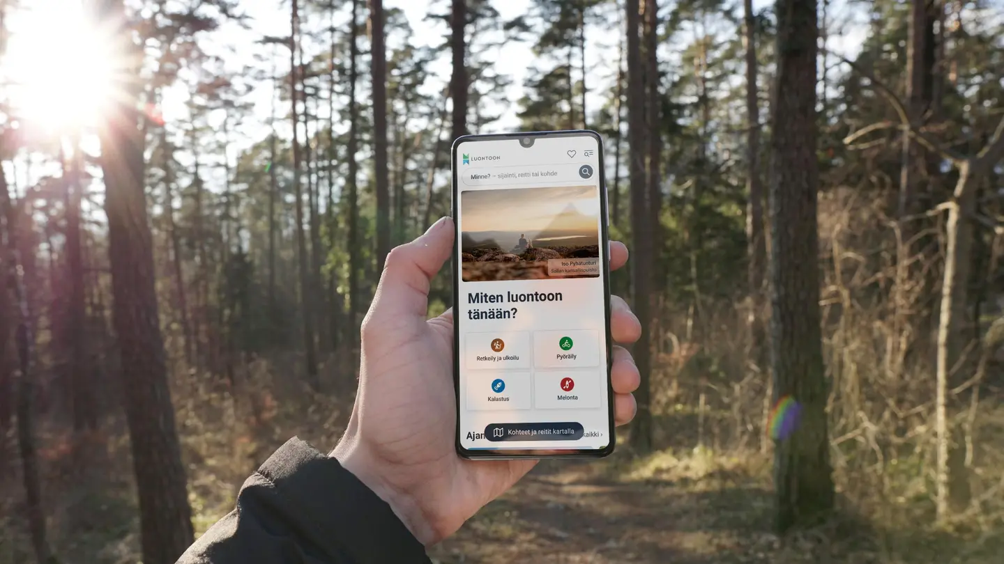 Kuva: Metsähallitus. Kädessä olevassa kännykässä näkyy Luontoon-palvelu.