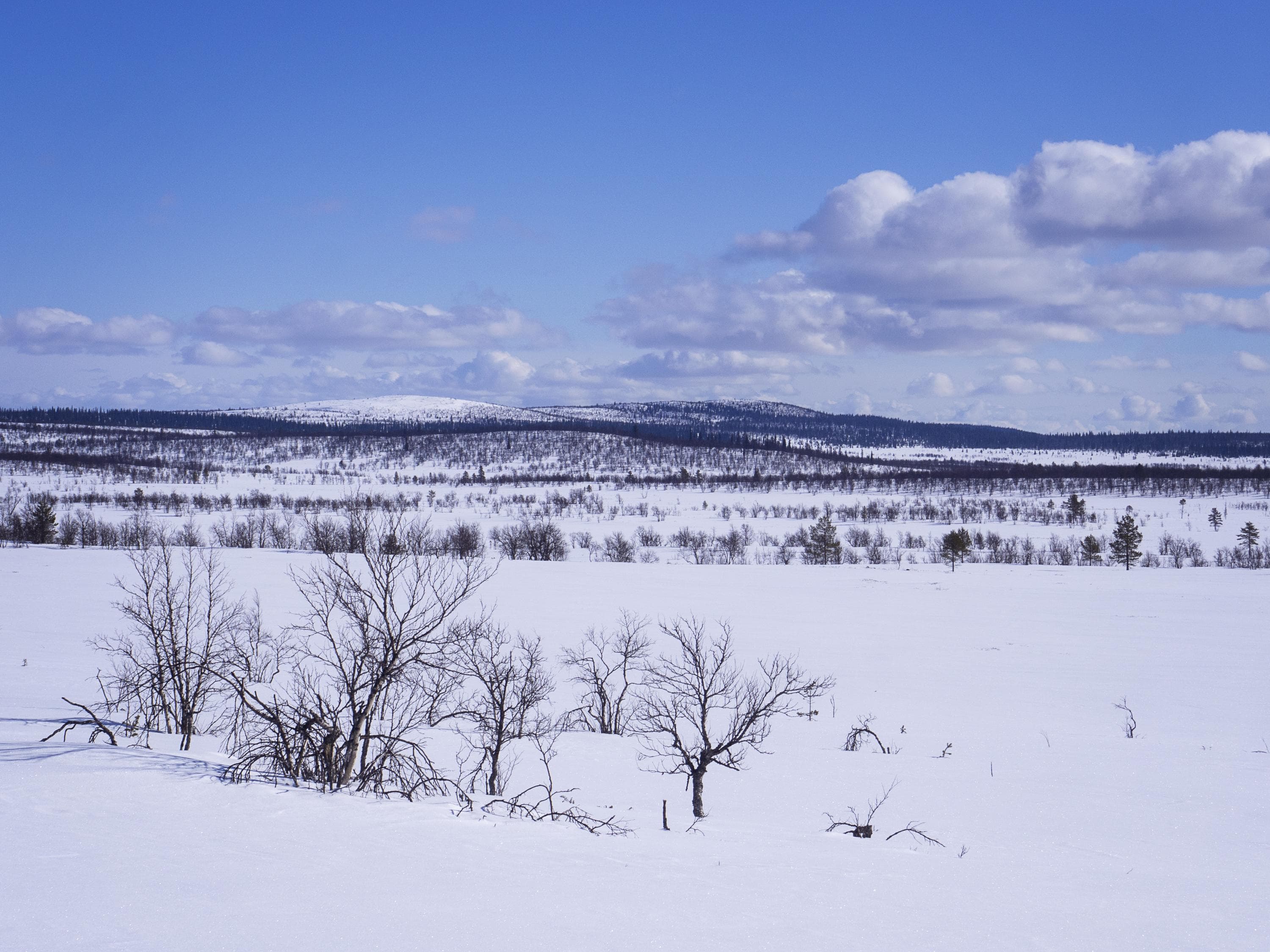 Kuva:  Anna Pakkanen Luminen tunturimaisema.