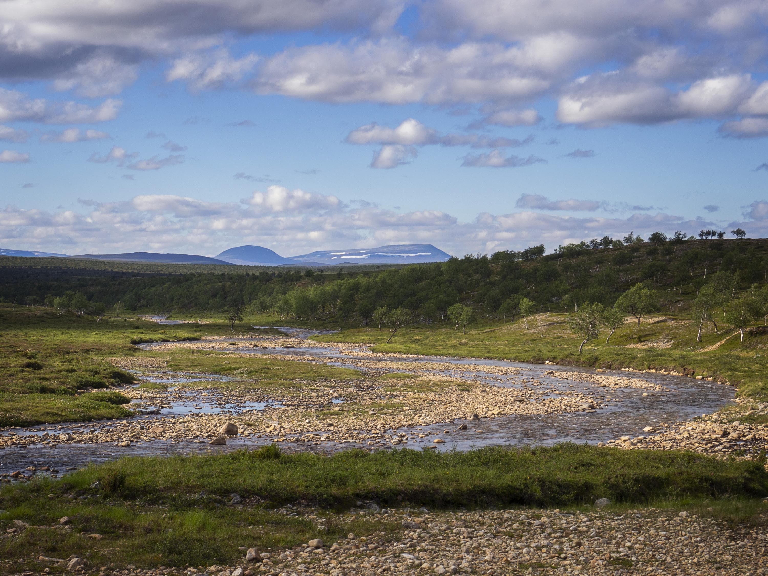 Kuva: Anna Pakkanen Joki tunturimaisemassa.