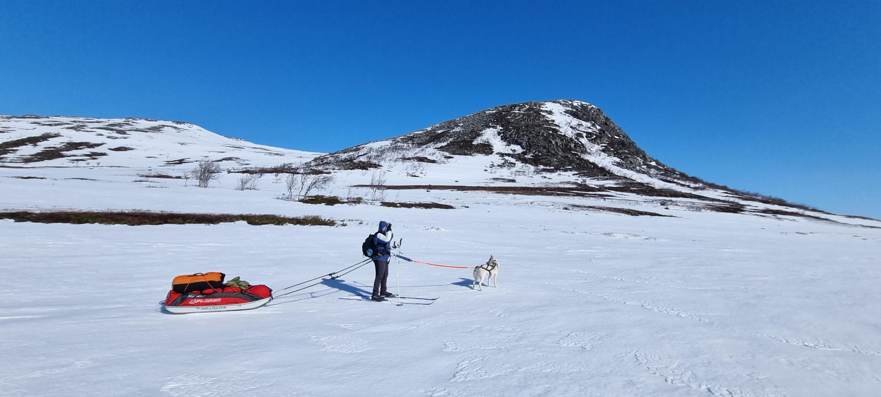 Bild: Annu Tuohiluoto En skidåkare med pulka och hund, med ett fjäll i bakgrunden.