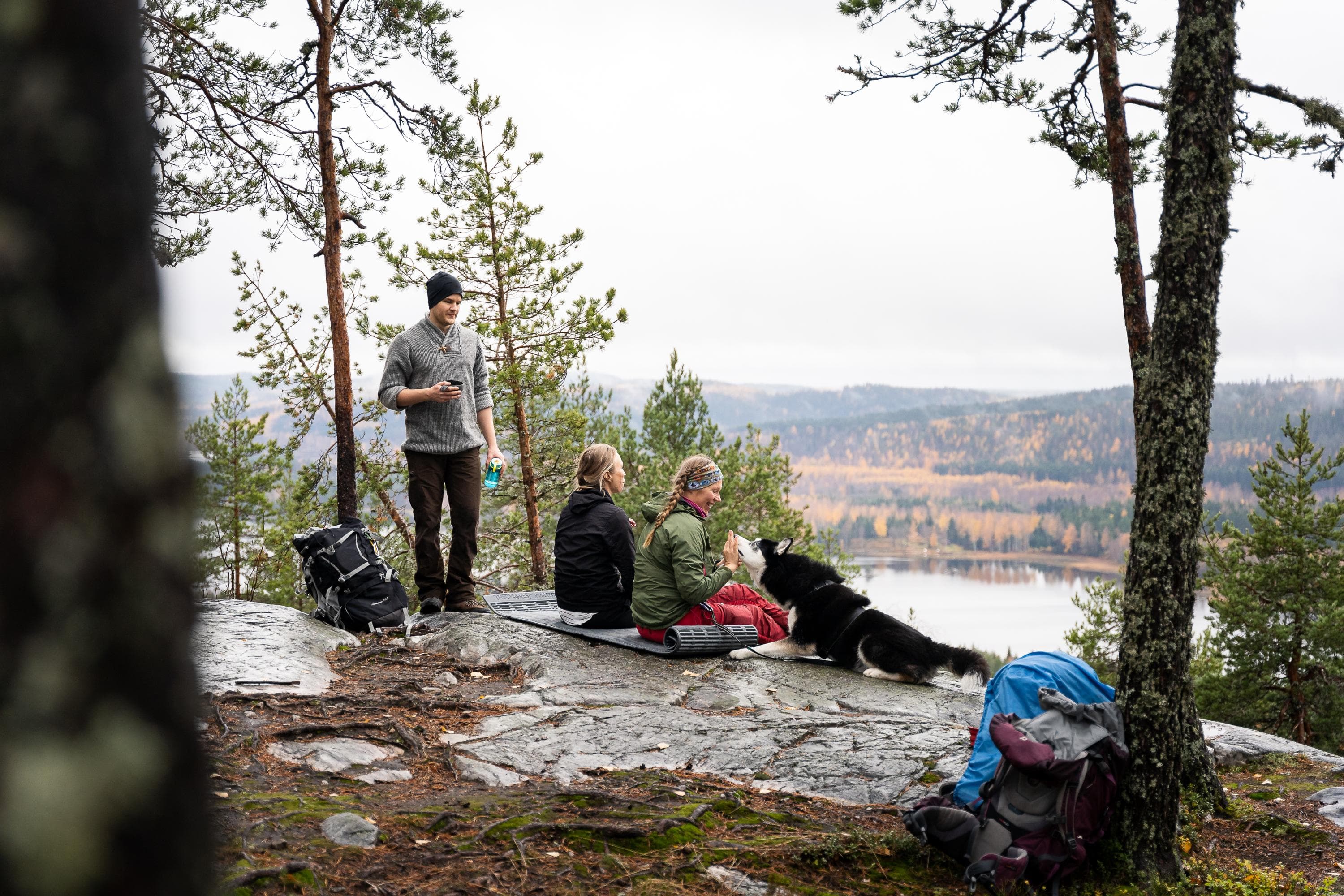 Bild: Koli National Park. Photo: Mitja Piipponen. Människor och en hund sitter på en klippa på hösten.