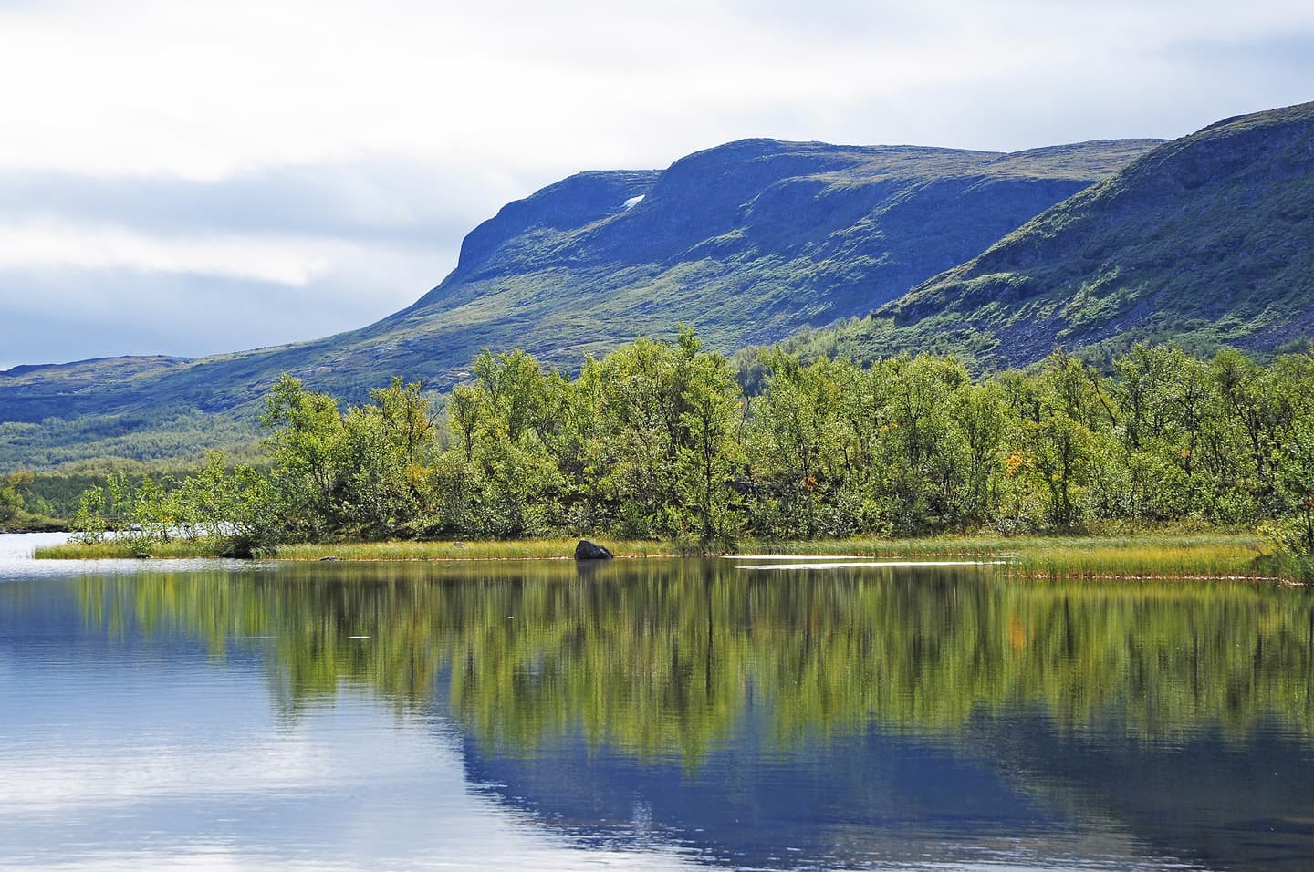 Järven takana näkyy koivikko, jonka taustalla siintää korkea tunturi.