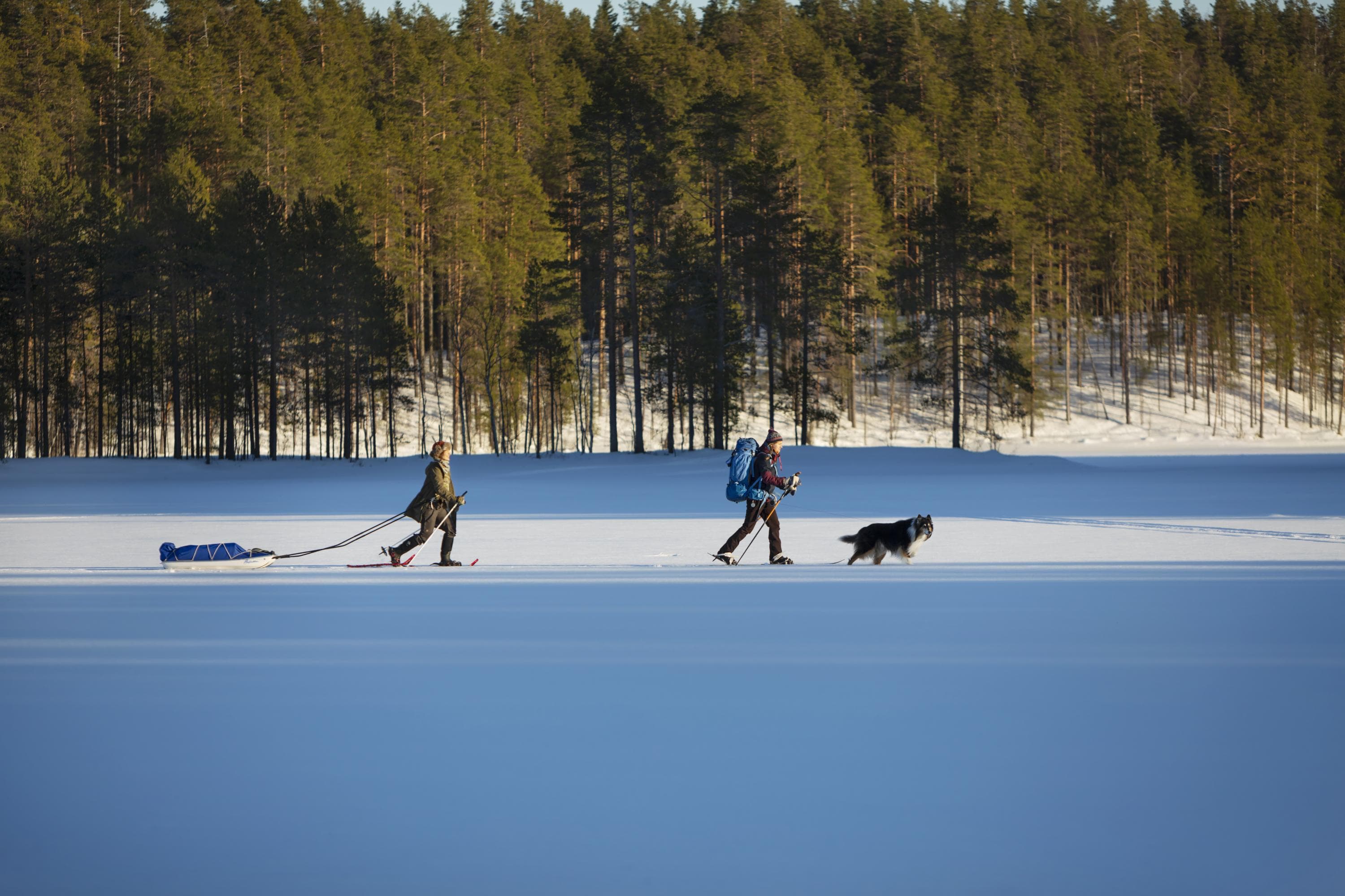 Image: Johanna Kokkola Two snowshoers and a dog are traveling on the ice.