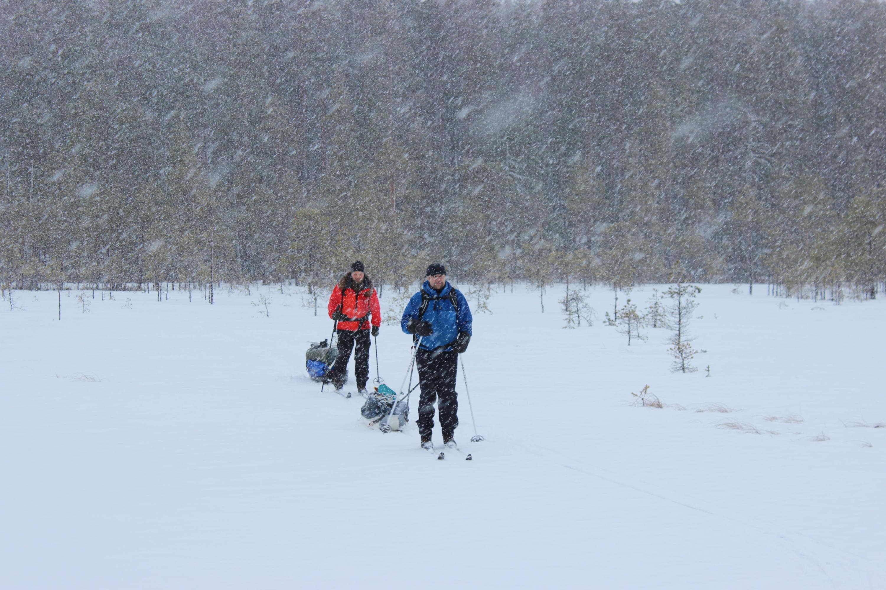 Bild: Minna Jakosuo Två vandrare skidar över myren i tätt snöfall. Båda drar en pulka efter sig.