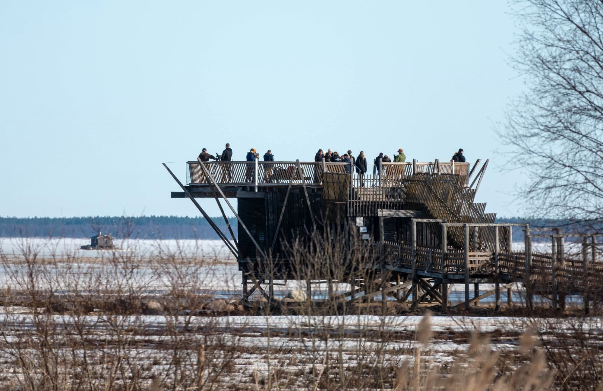 Image: Ismo Lampi A large group of people is standing on top of a wide birdwatching tower at the edge of a coastal meadow.
