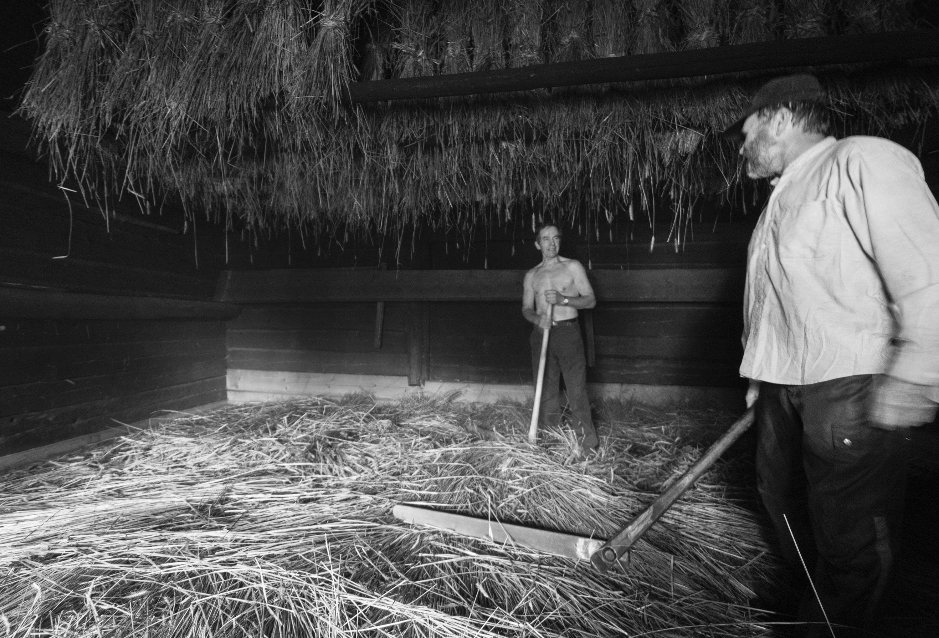 Kuva: Marko Haapalehto Kaksi henkilöä seisoo hämärässä riihessä puiset työkalut kädessään. Lattialle on levitetty ruislyhteitä.