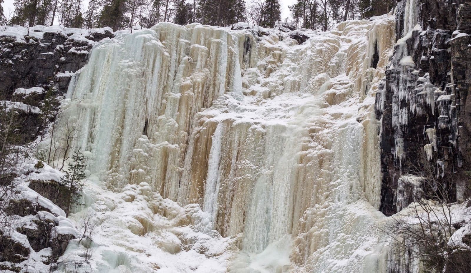 Kuva: Mari Limnell Ruskea jääputous