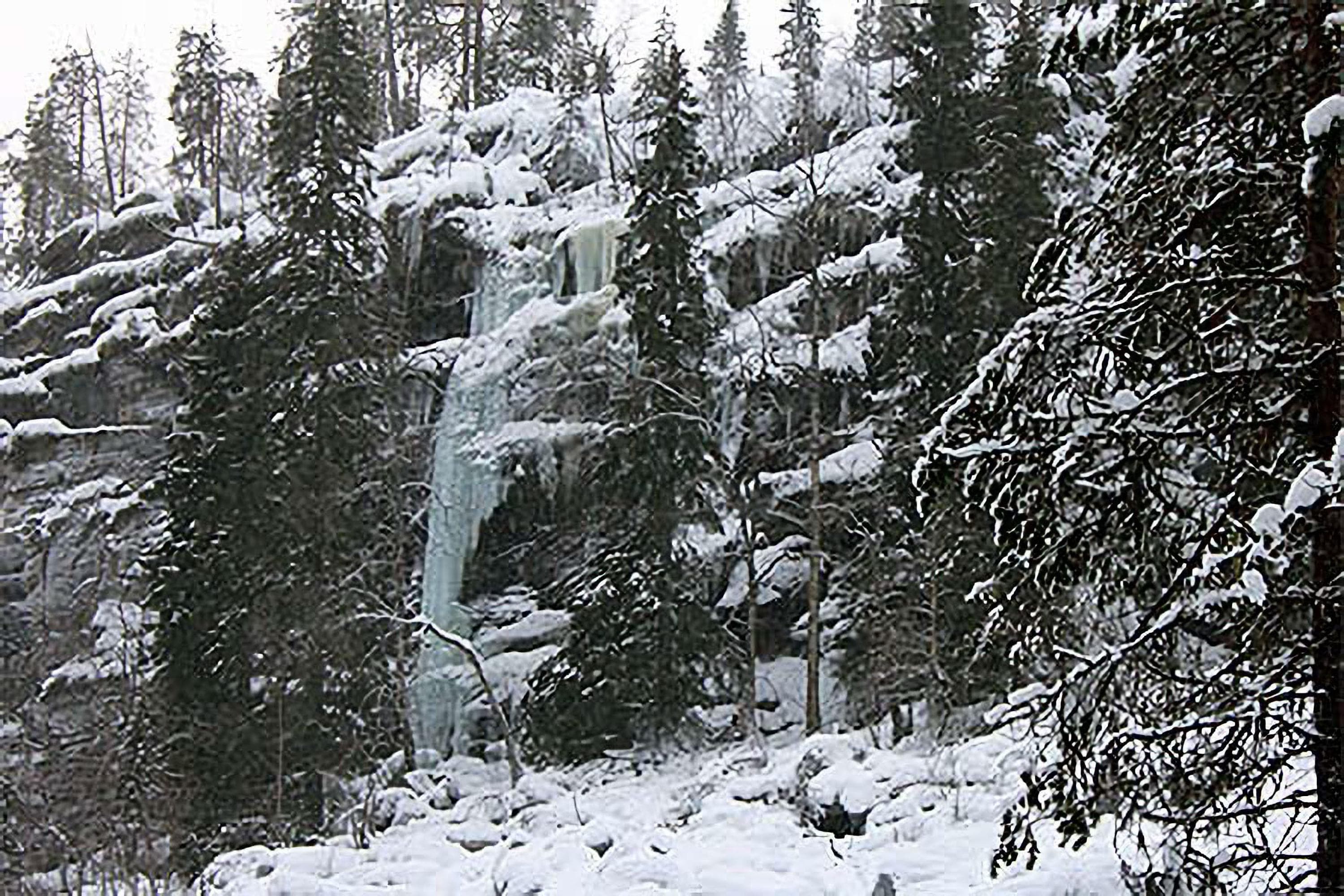 Kuva: Pekka Veteläinen Sinertävä jääputous alkutalvella. Puissa ei ole lunta ja keli on harmaa. Putous on pieni ja kapea.