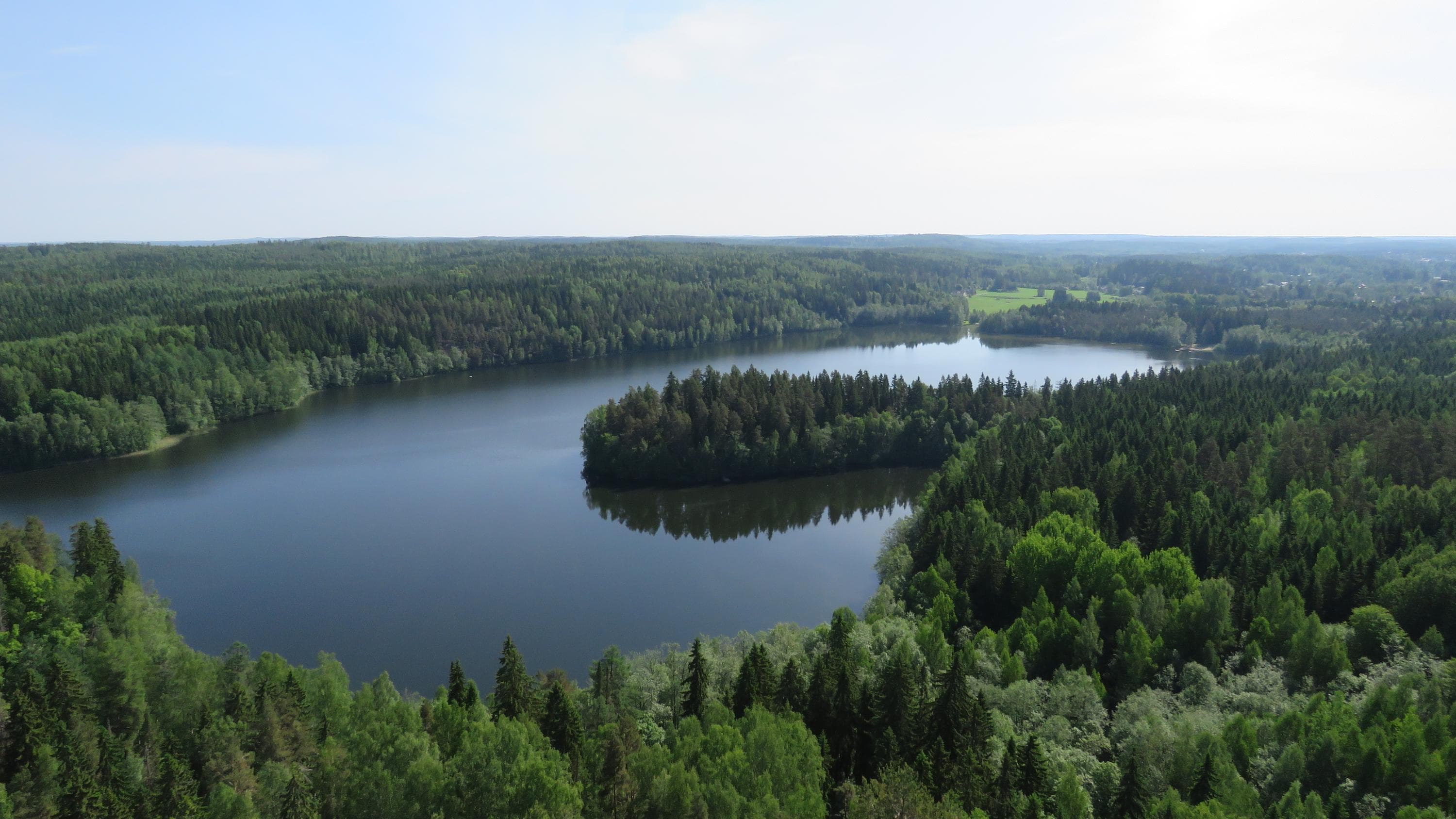 Bild: Leena Hiltunen Ett sommarlandskap där skogar omger en sjö.