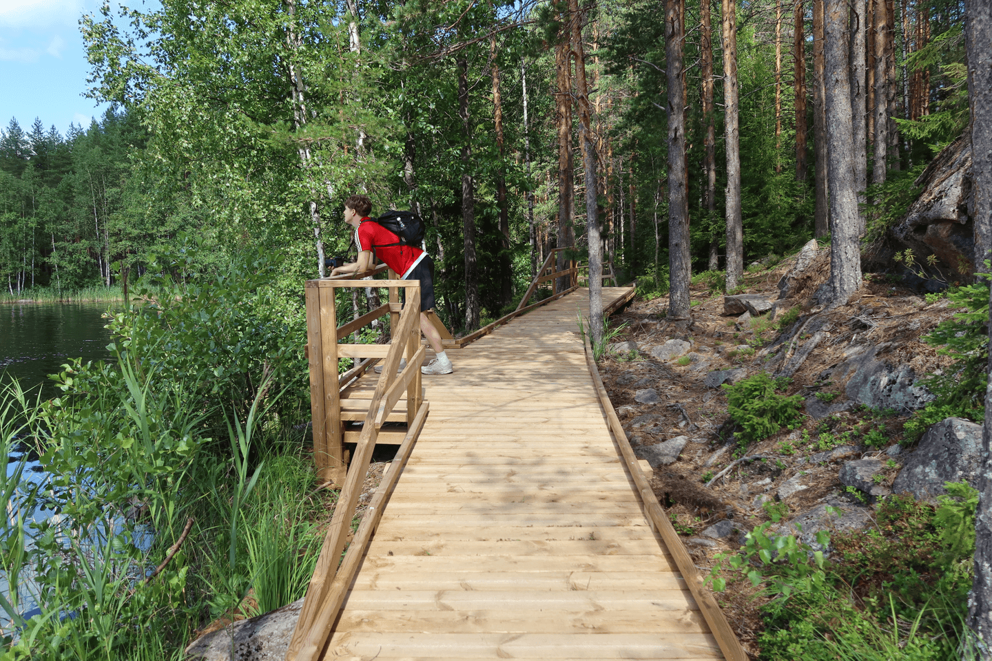Kuva: Katja Granskog Retkeilijä nojaa leveän pitkospuupolun näköalatasanteen kaidetta vasten ja katsoo järvimaisemaa. Taustalla kesäinen metsämaisema.