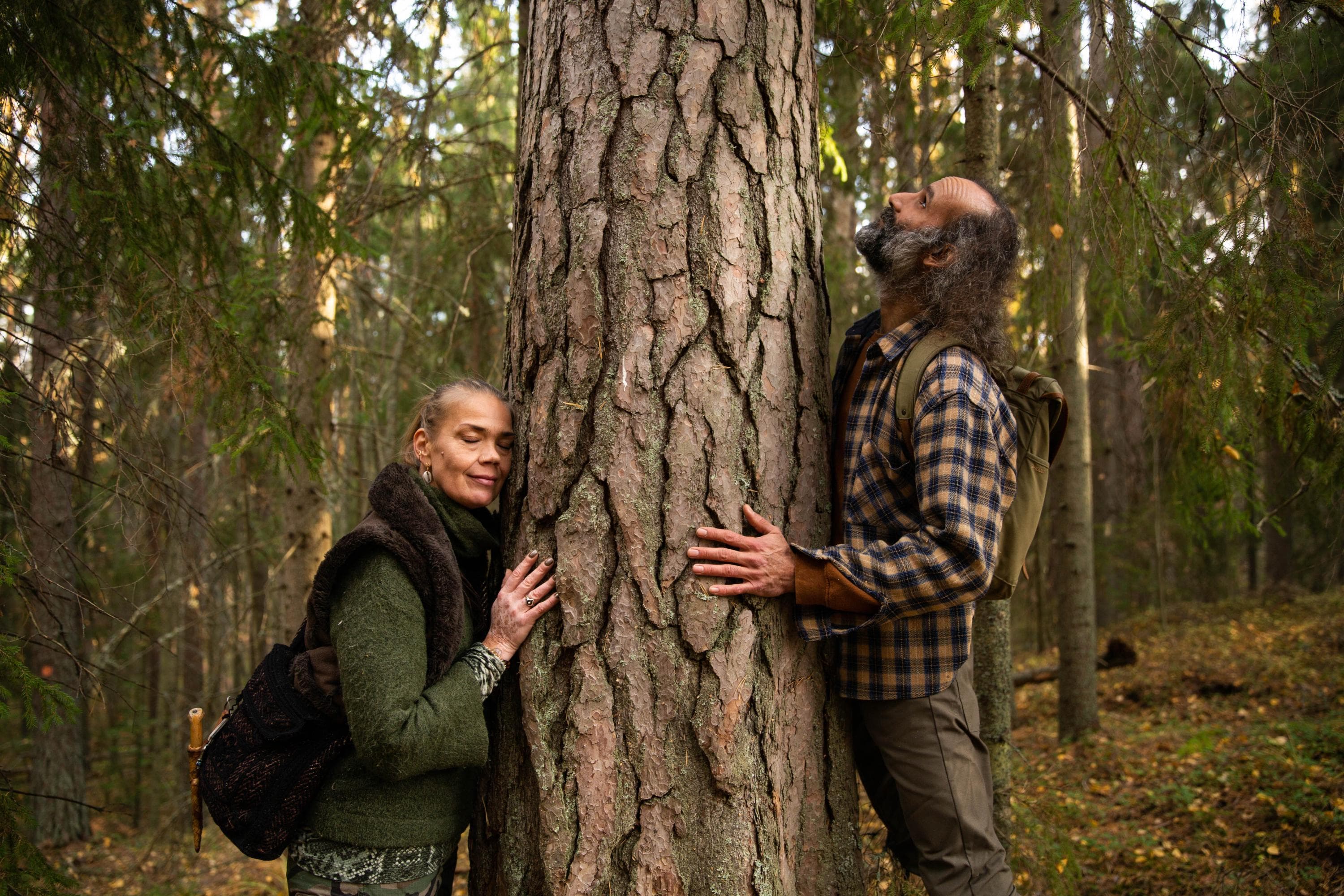 Kuva: Saara Lavi Kaksi retkeilijää seisoo suuren puun juurella sitä halaten.