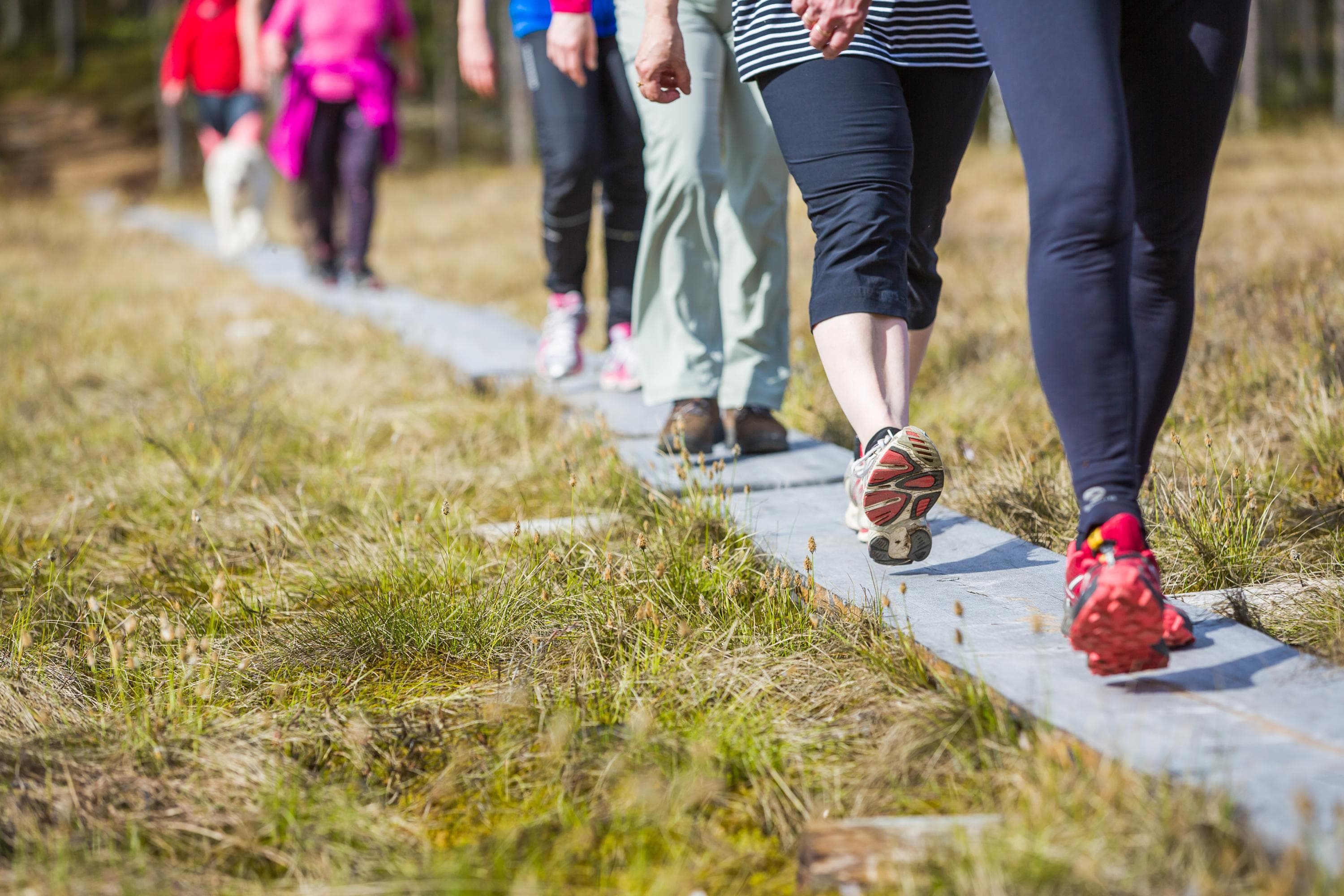 Bild: Petri Jauhiainen Benen på vandrare som går på spångar.