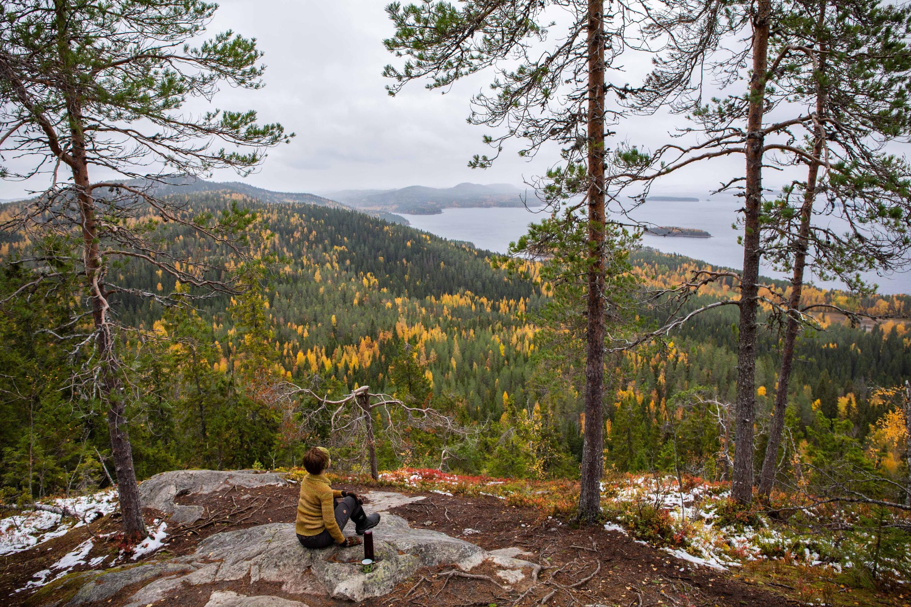 Bild: Saara Lavi En vandrare sitter på en klippa framför en höstig skogs- och sjöutsikt i Kolin nationalpark.