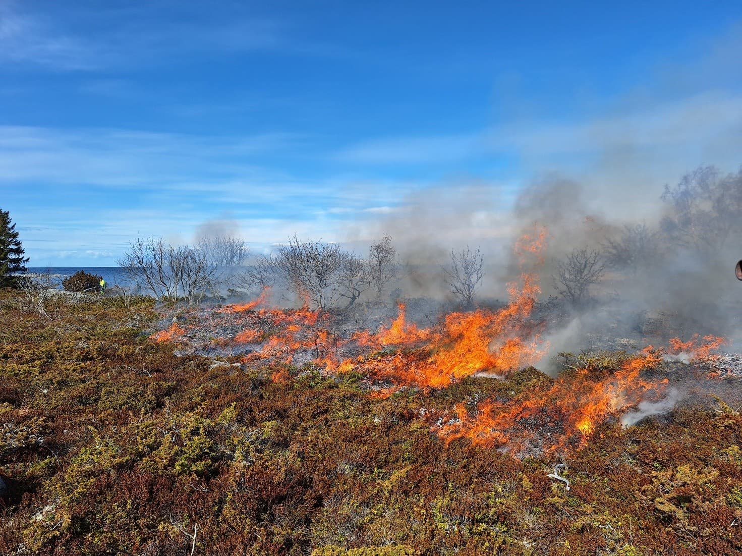 Bild: Aurelia Rådström Hedmarken brinner vid havsstranden.