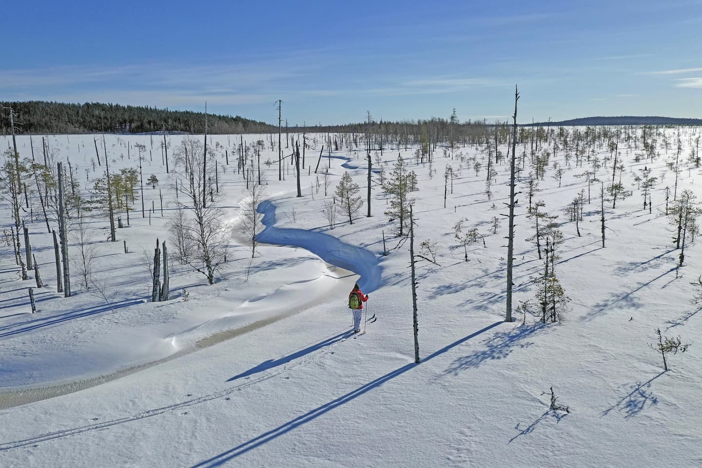 Kuva: Ismo Pekkarinen Retkeilijä hiihtää kestohangella keskellä suota