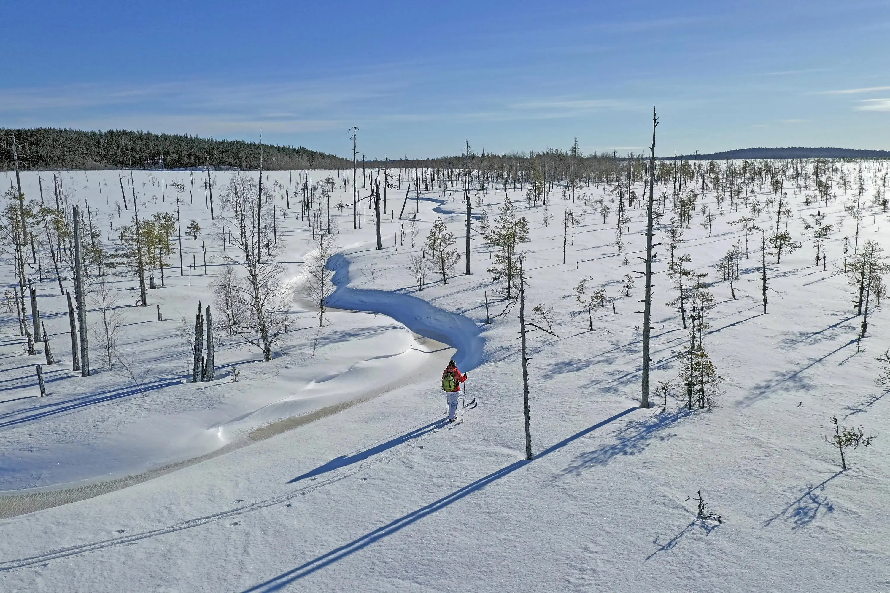 Kuva: Ismo Pekkarinen Retkeilijä hiihtää kestohangella keskellä suota