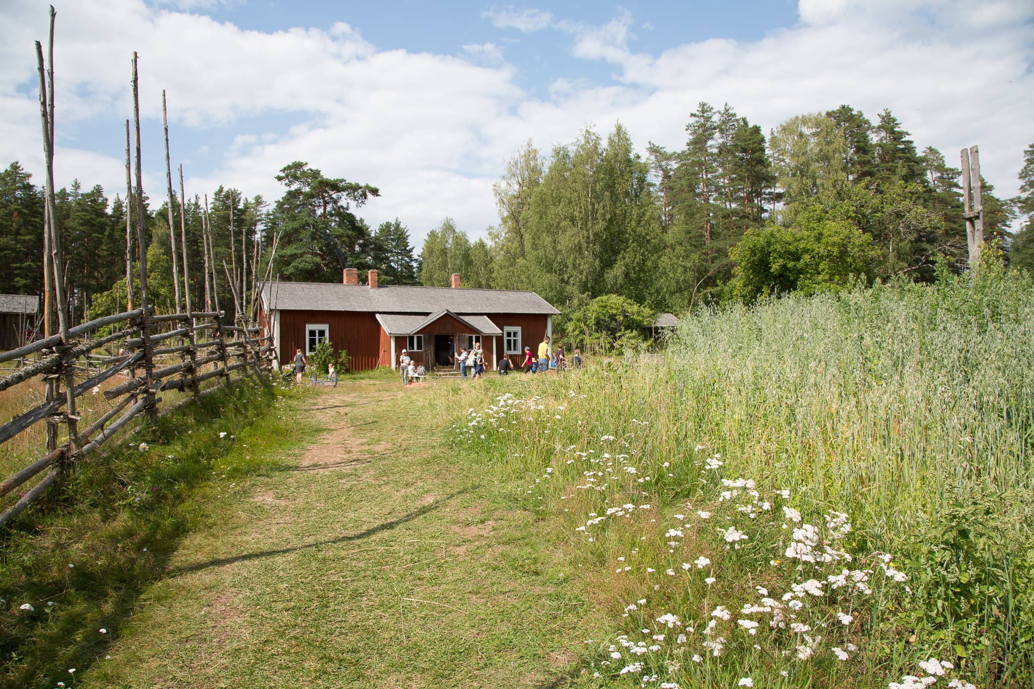 Kuva: Sannamari Ratilainen Niityn laidassa on riukuaita ja taustalla on vanha rakennus.
