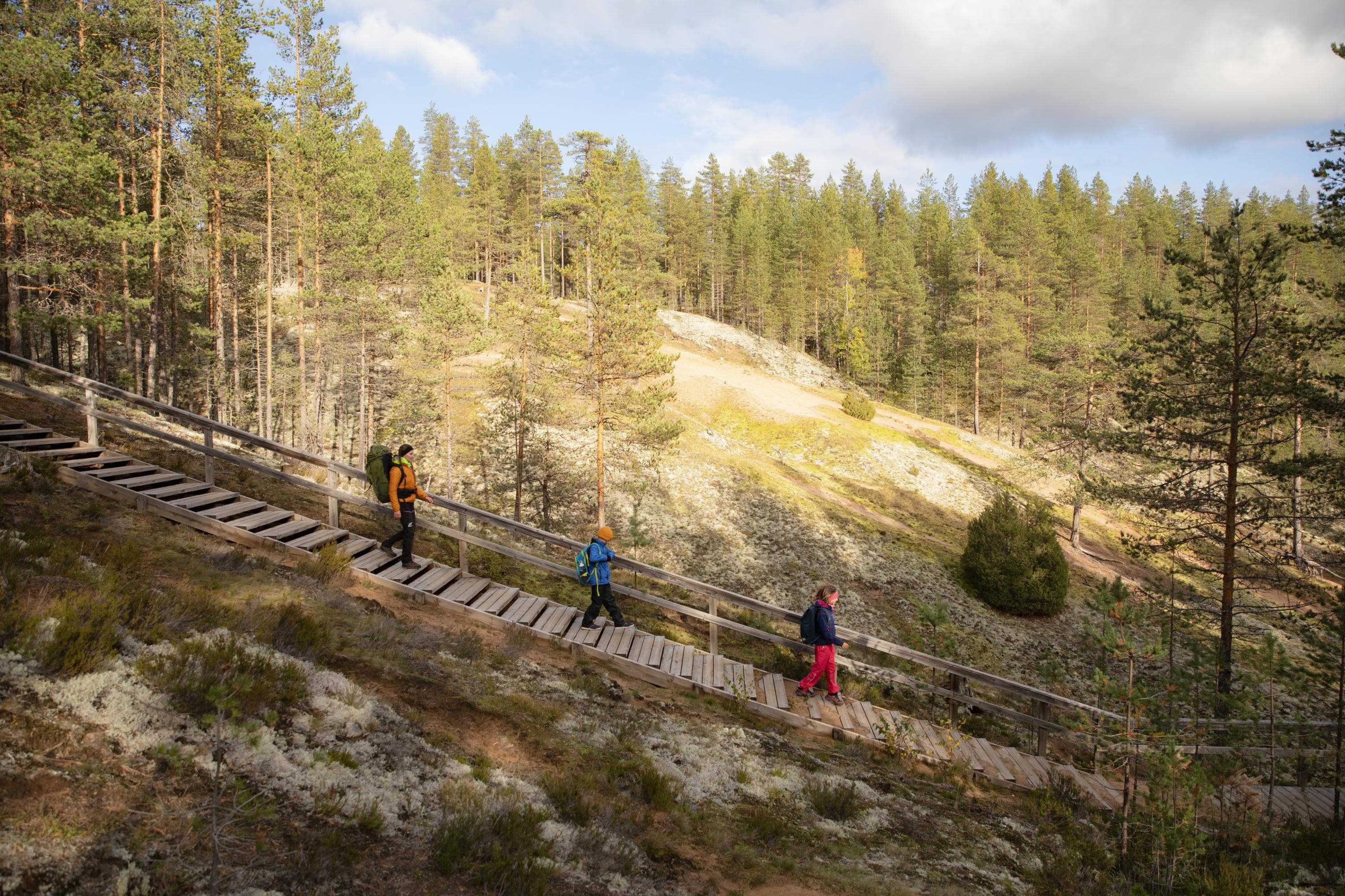 Kuva: Harri Tarvainen Retkeilijät kävelevät rinteessä olevia portaita.