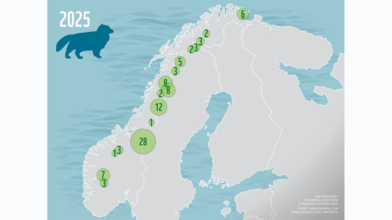 Kuva: Alexandra Antell / WWF Karttaan on merkitty Suomen, Ruotsin ja Norjan tunturialueilla syntyneiden naalipentueiden lukumäärät.