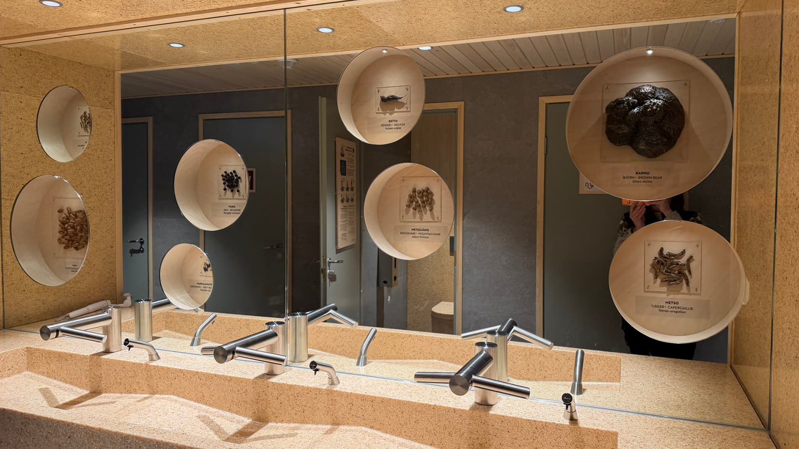 Kuva: Heta Kylmämaa Käsienpesualtaan luona olevassa peiliseinässä on aukkoja, joissa on eläinten ja lintujen jätöksiä esillä. Peiliin heijastuu wc-koppien ovet.