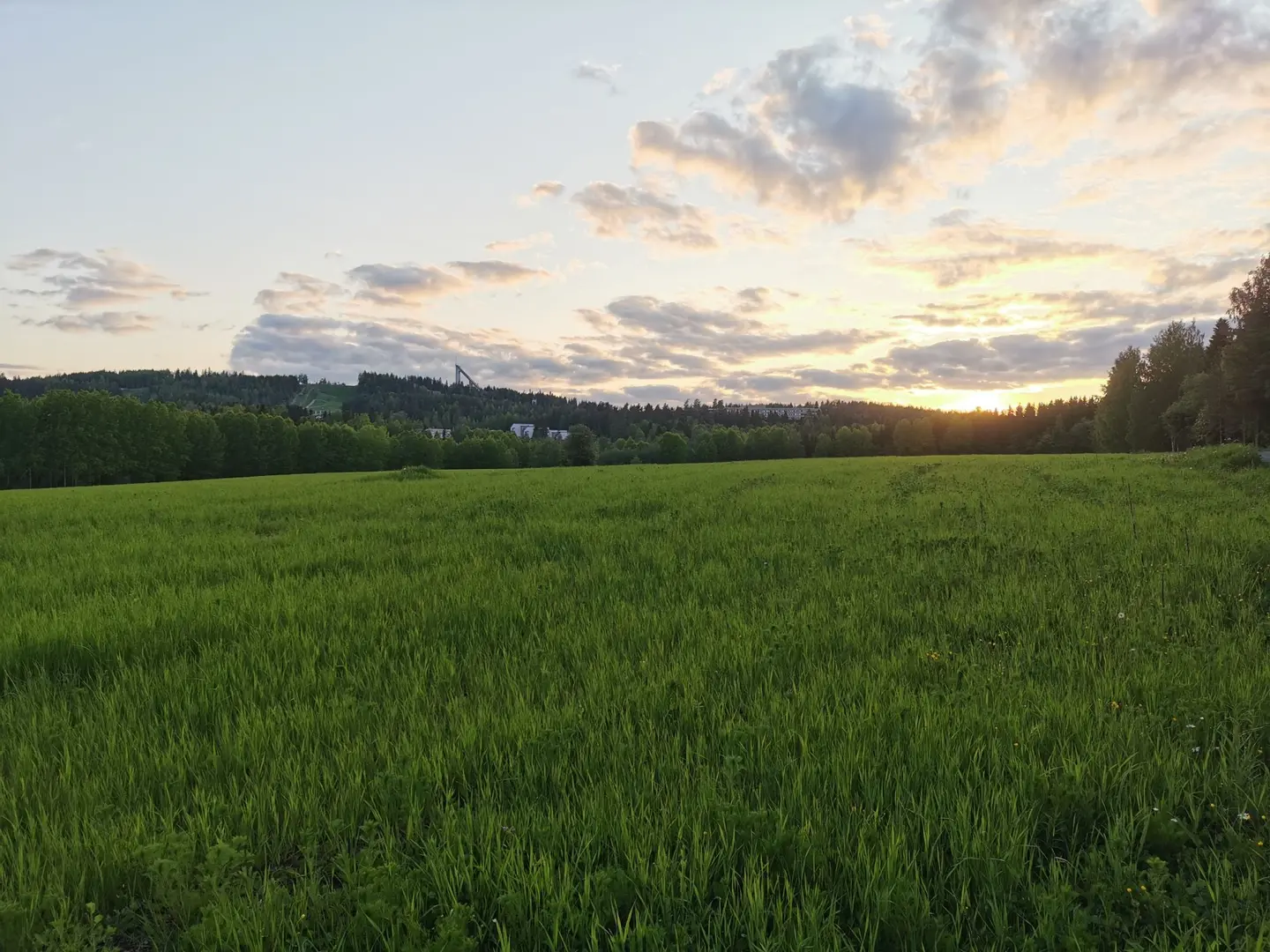 Kuva: Mira Niemelä Pellon takana on hyppyrimäki. Aurinko paistaa alhaalta.