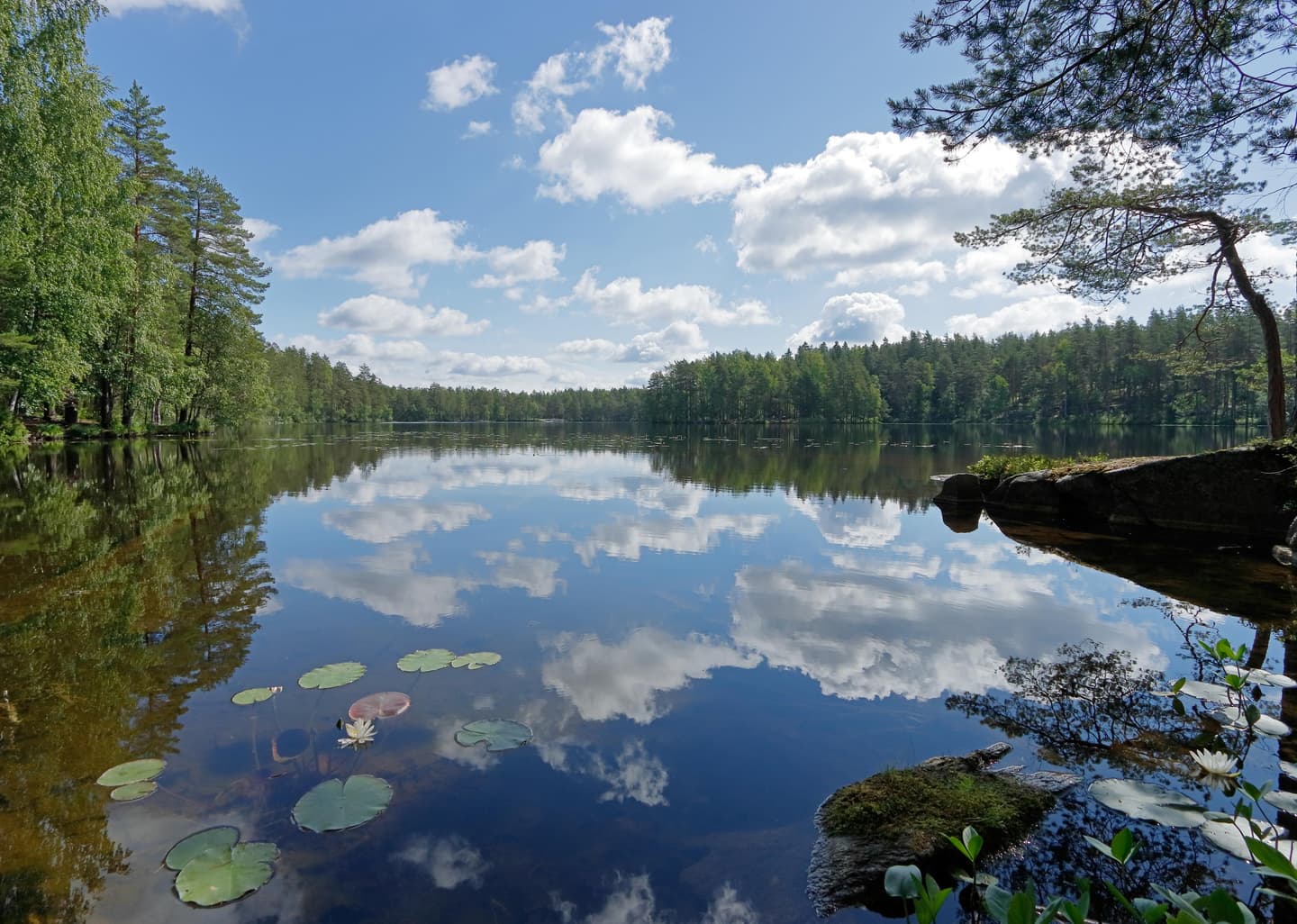 Kuva: Jussi Helimäki Kesäinen järvimaisema. Järven pintaan heijastuu pilvet ja rannoilla kasvaa metsää.