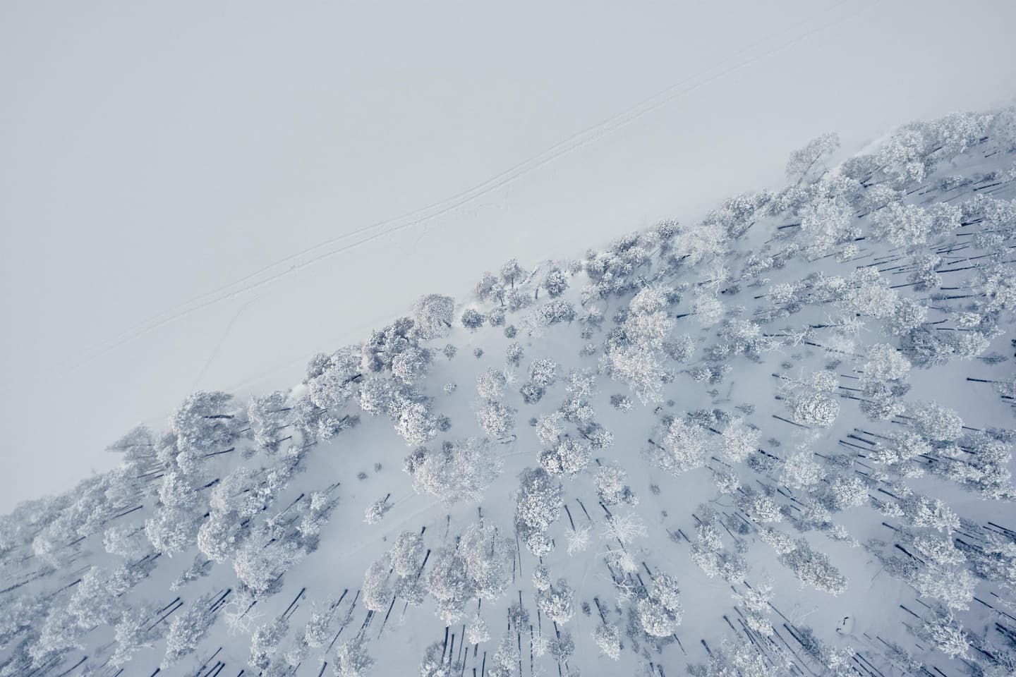 Bild: Mikko Törmänen / Keksi I flygbilden syns en snötäckt skog som gränsar till ett jämnt vitt område, sannolikt en frusen sjö.